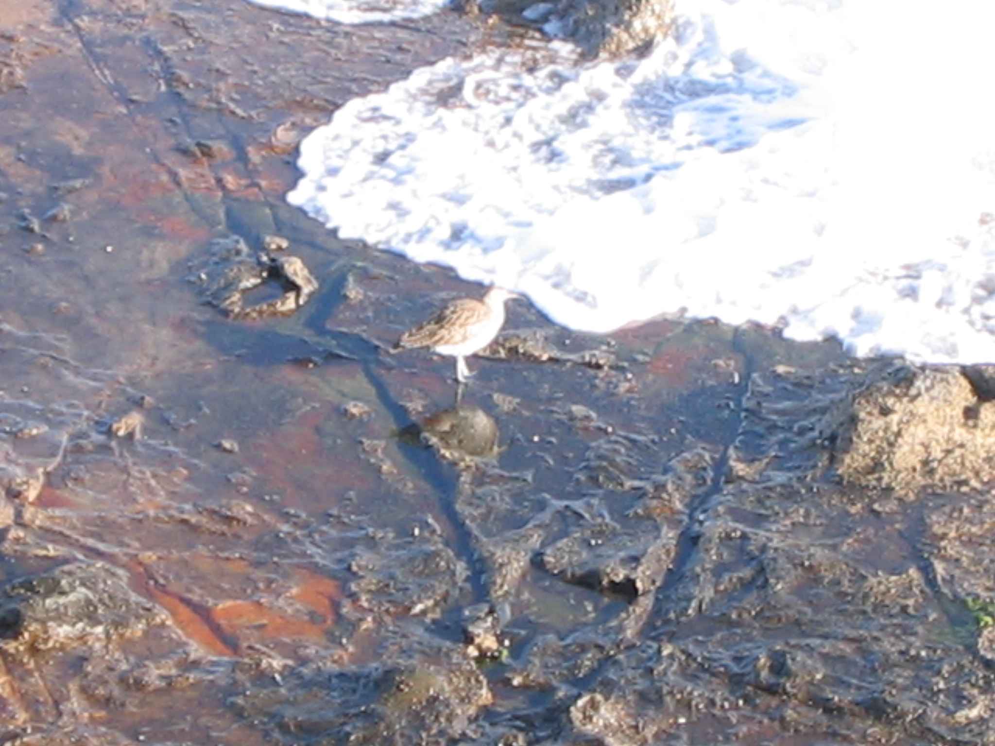 2007-GranCanaria-Tag5 (1)