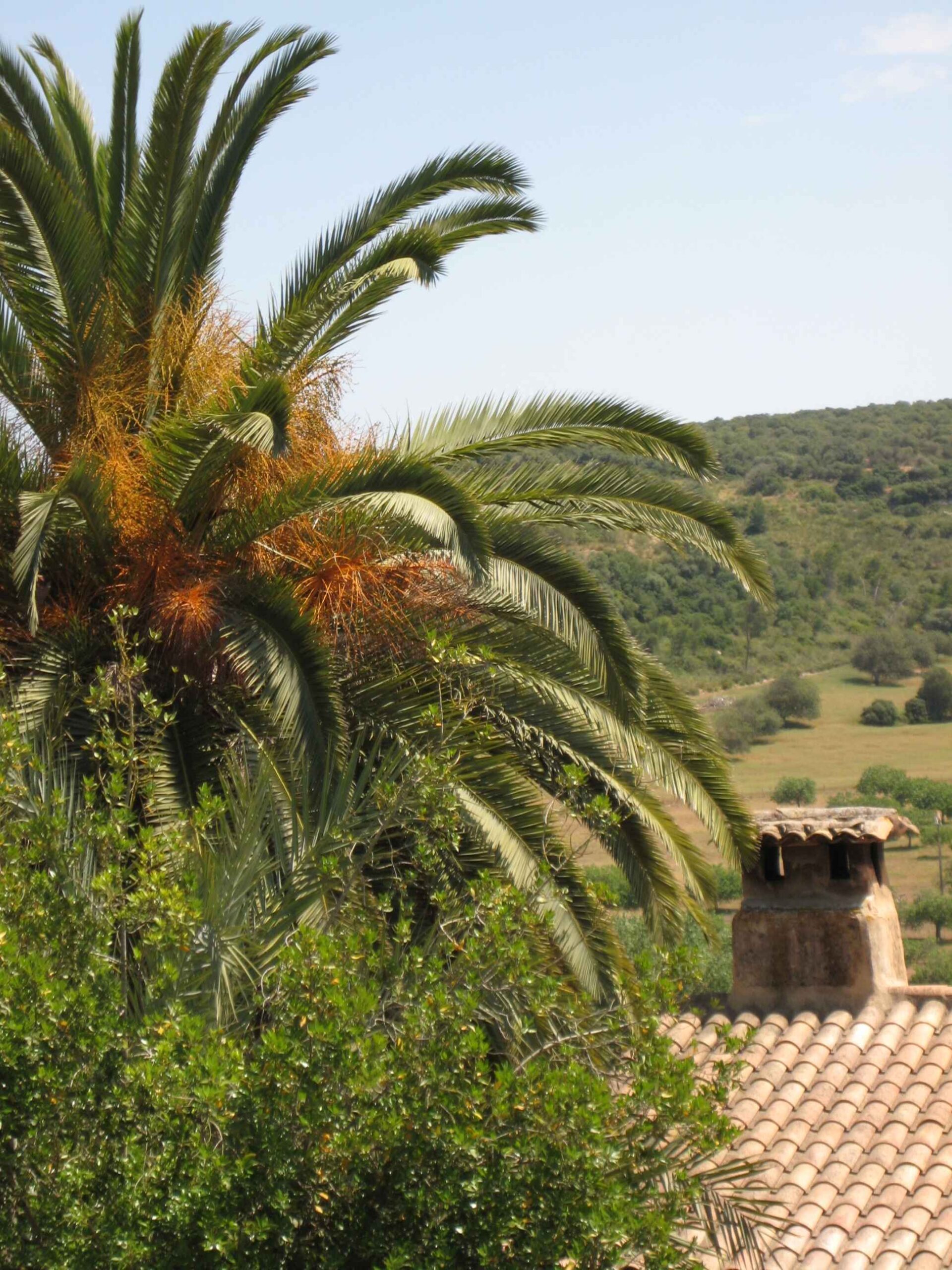 2008-Mallorca-Tag3 (17)