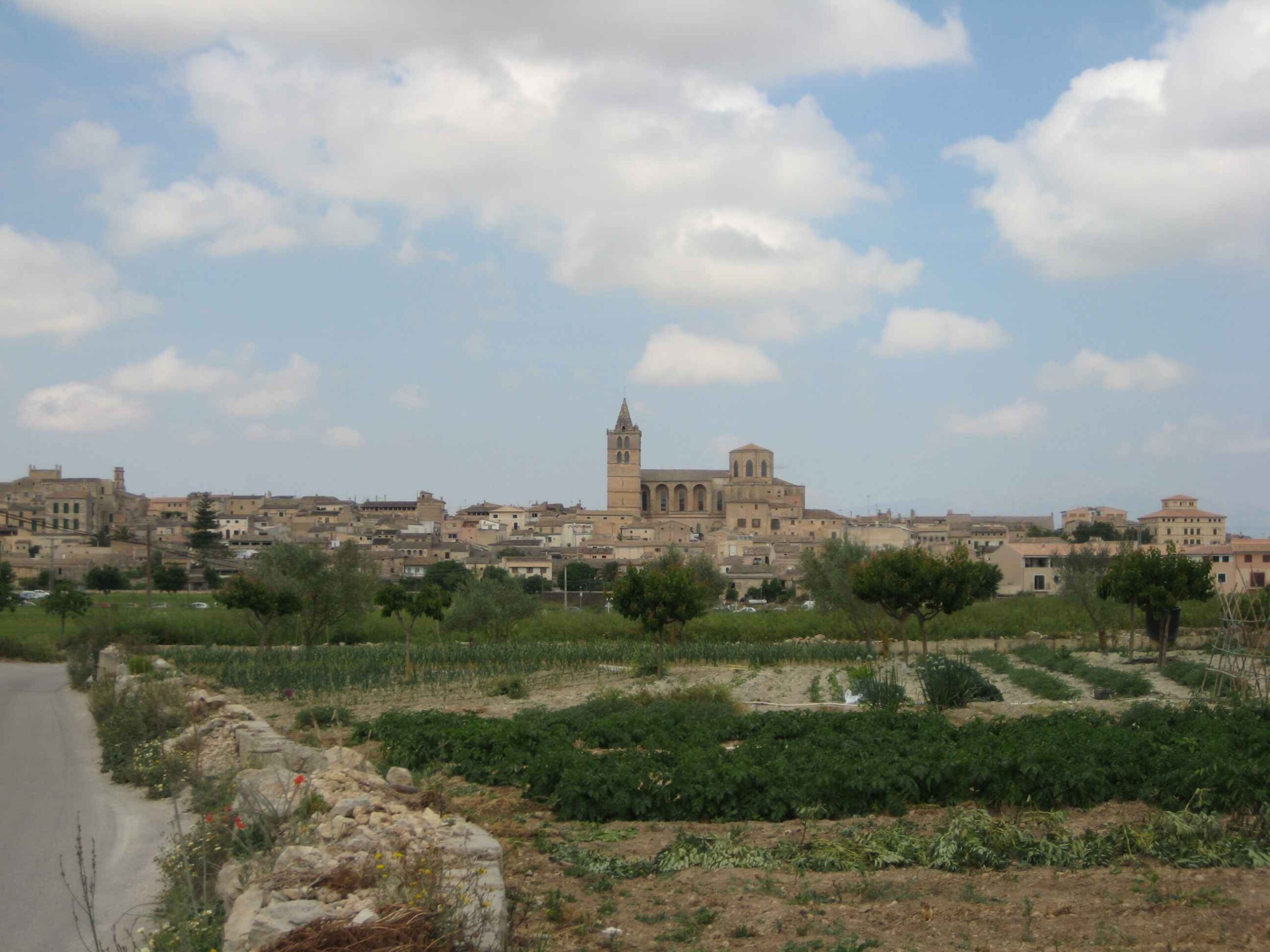 2008-Mallorca-Tag4 (103)