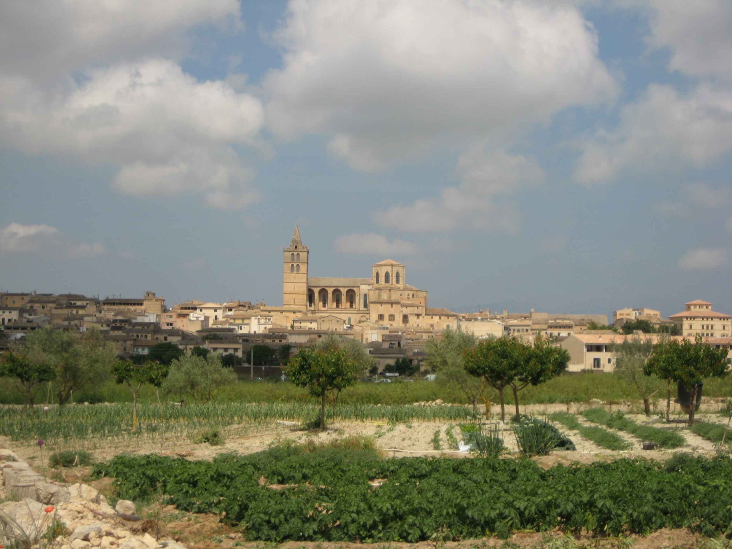 2008-Mallorca-Tag4 (105)