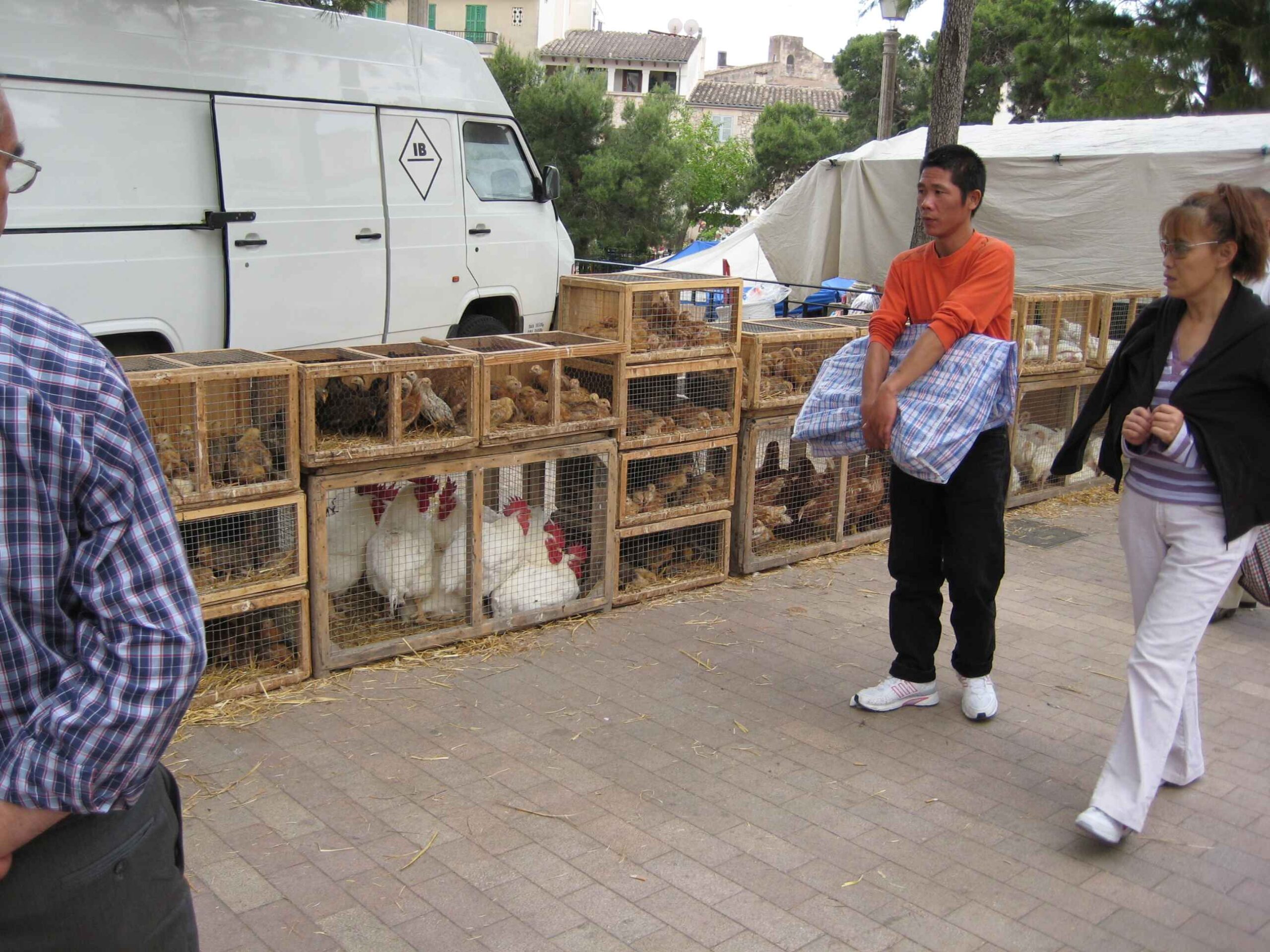 2008-Mallorca-Tag4 (107)