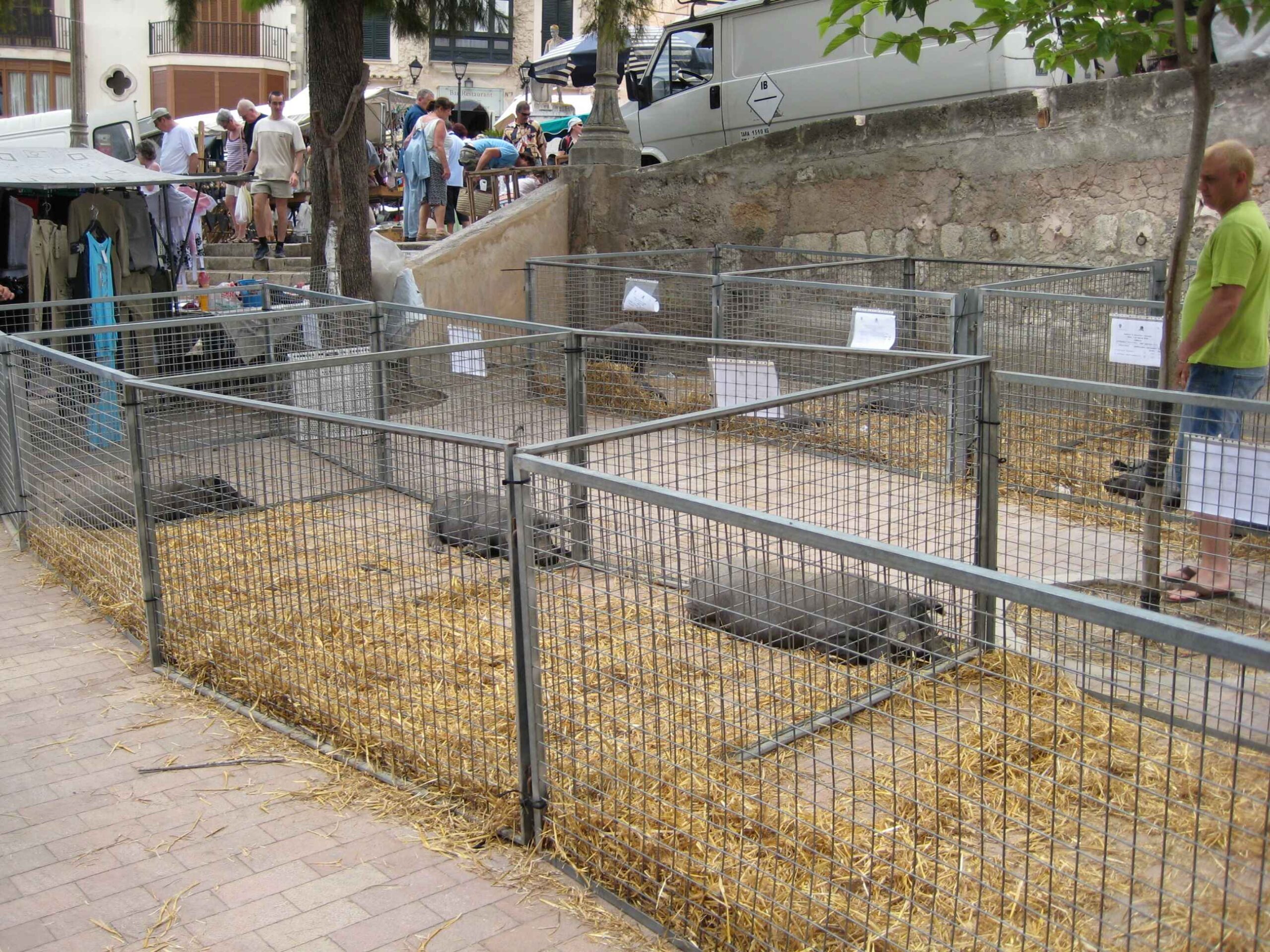 2008-Mallorca-Tag4 (108)