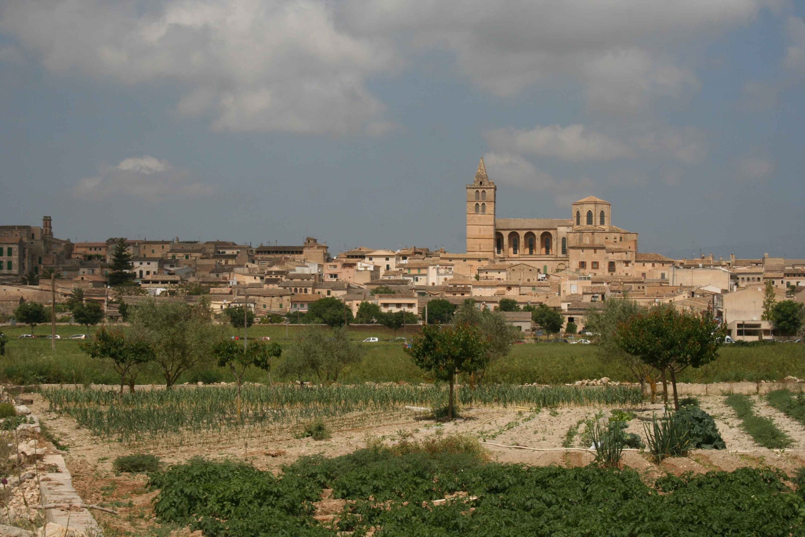 2008-Mallorca-Tag4 (18)