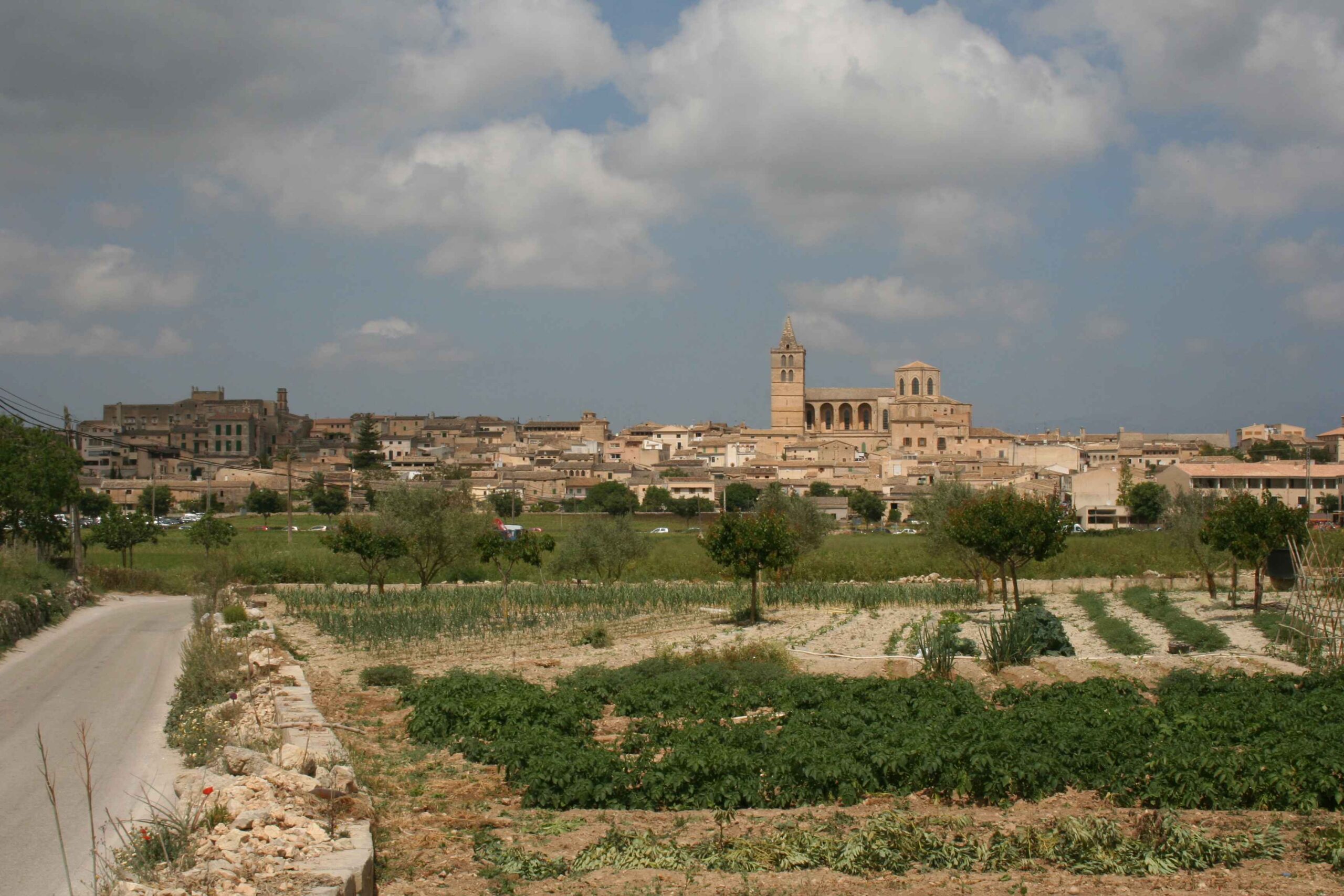 2008-Mallorca-Tag4 (19)