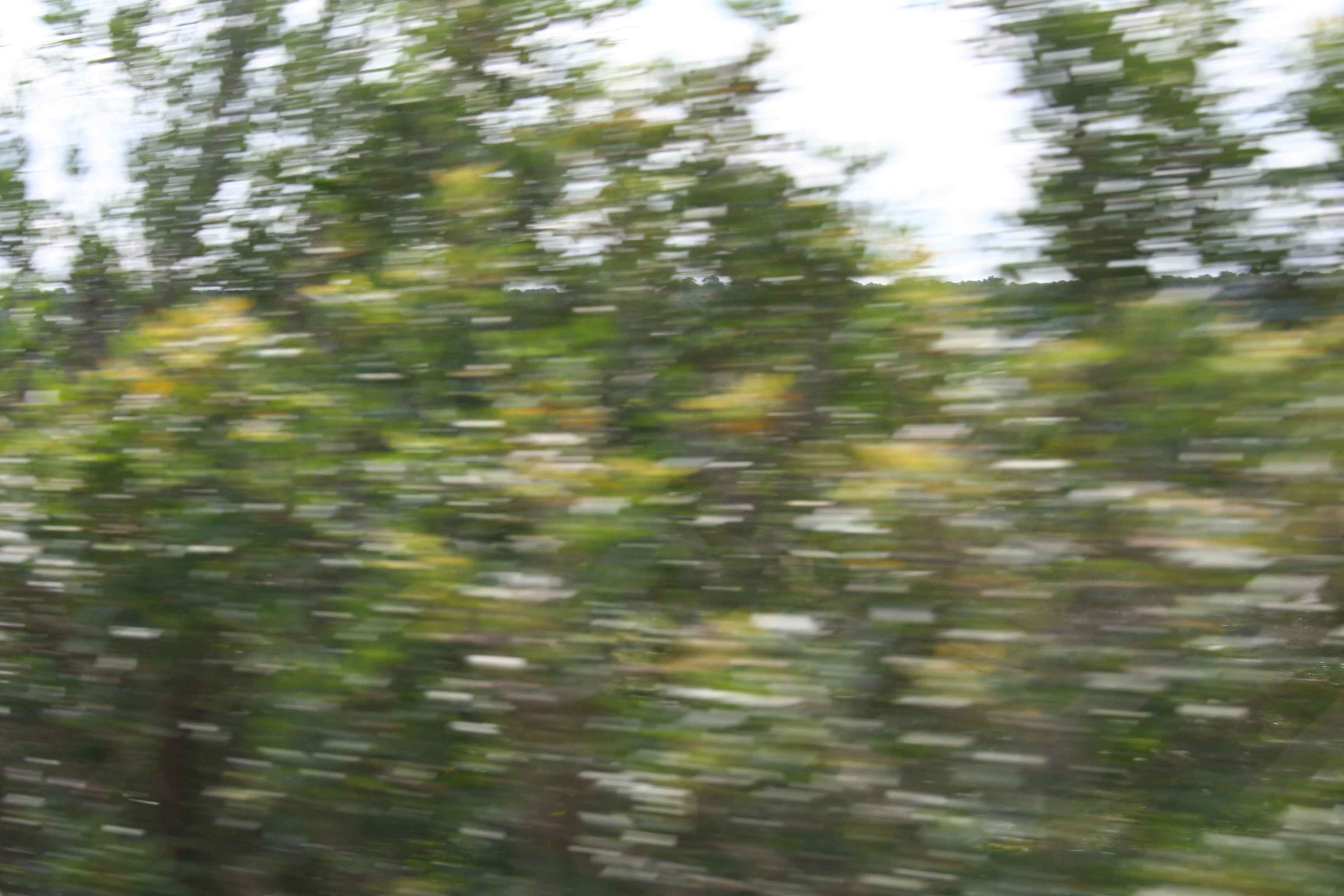 2008-Mallorca-Tag4 (2)