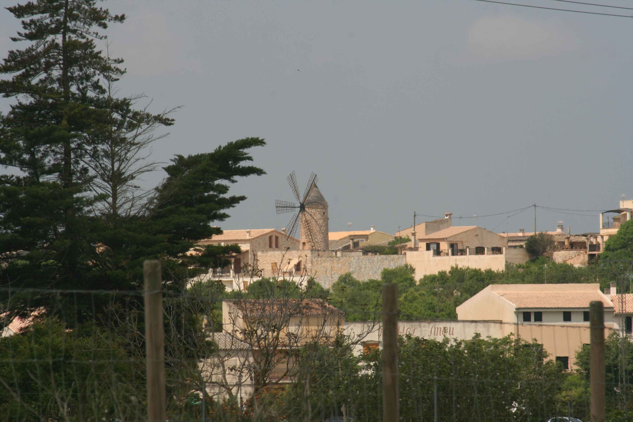 2008-Mallorca-Tag4 (20)