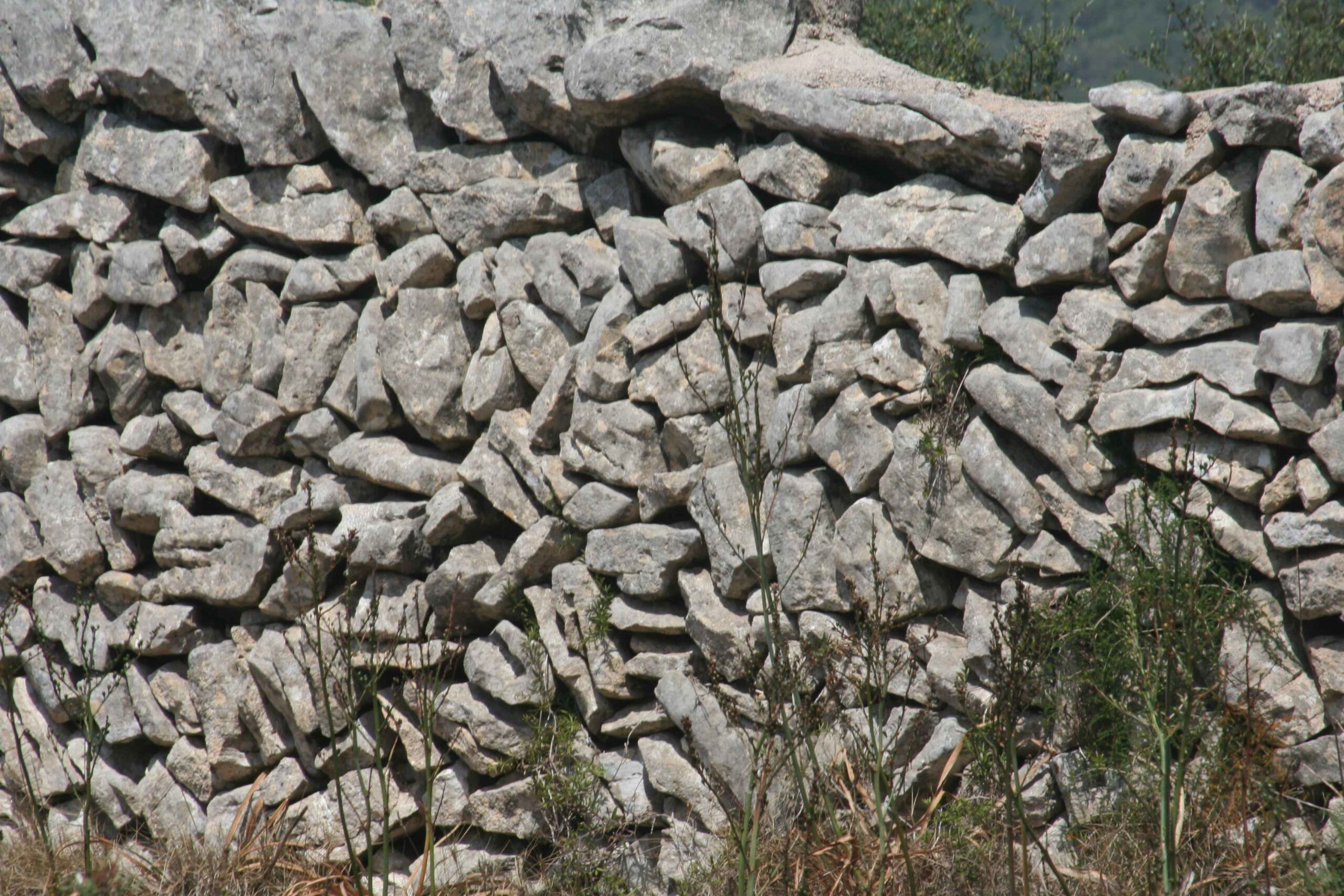 2008-Mallorca-Tag4 (29)