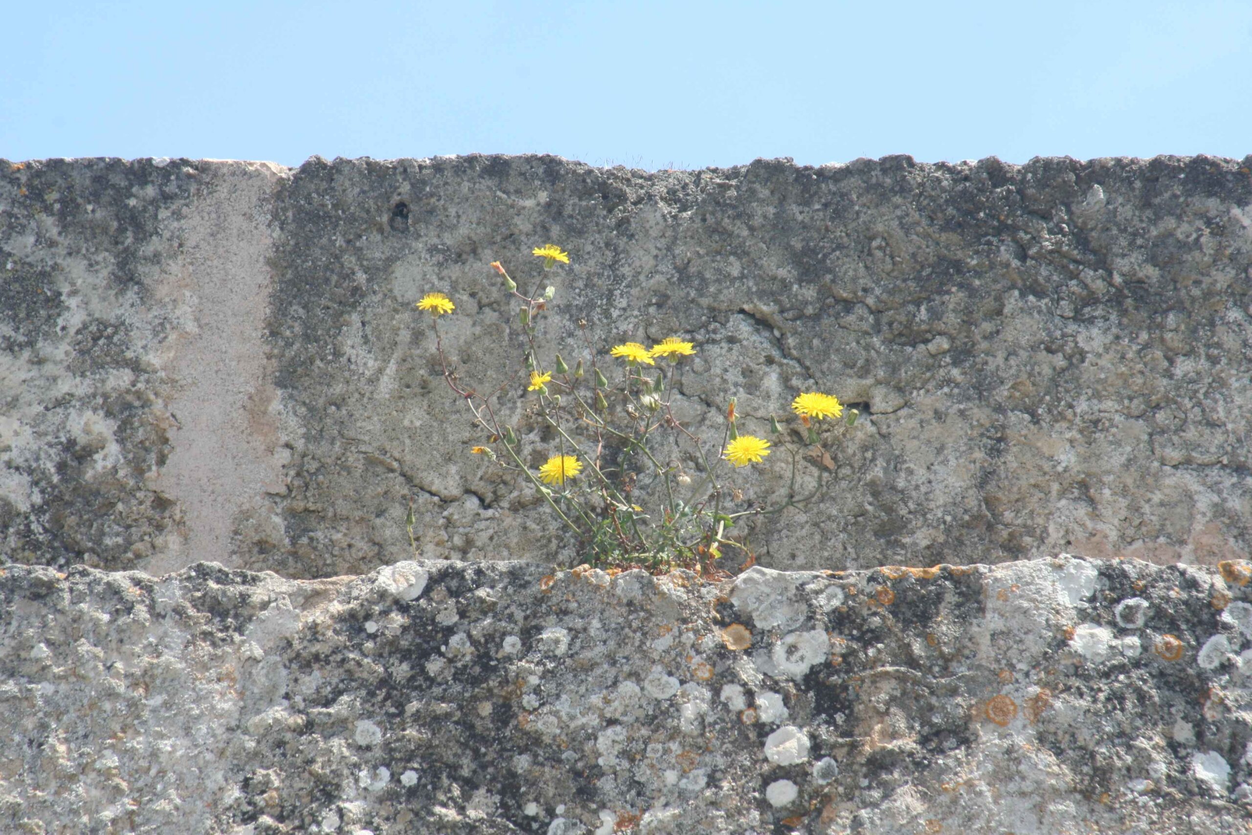 2008-Mallorca-Tag4 (30)