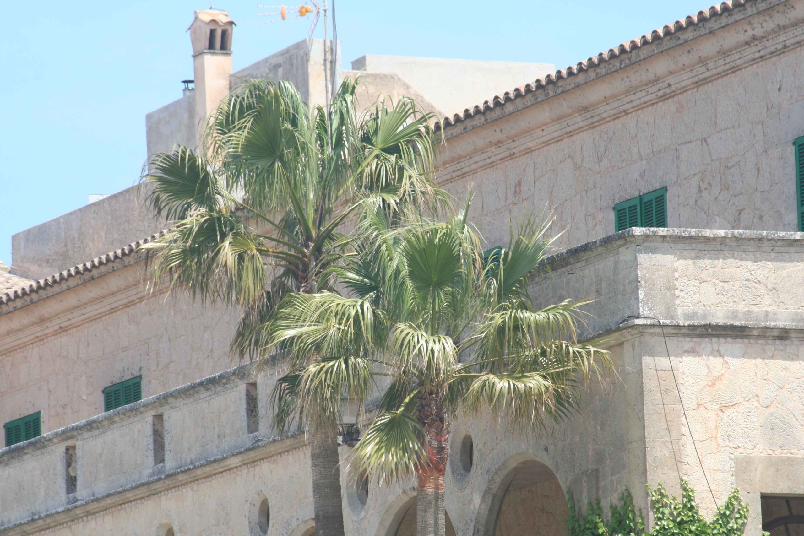 2008-Mallorca-Tag4 (32)