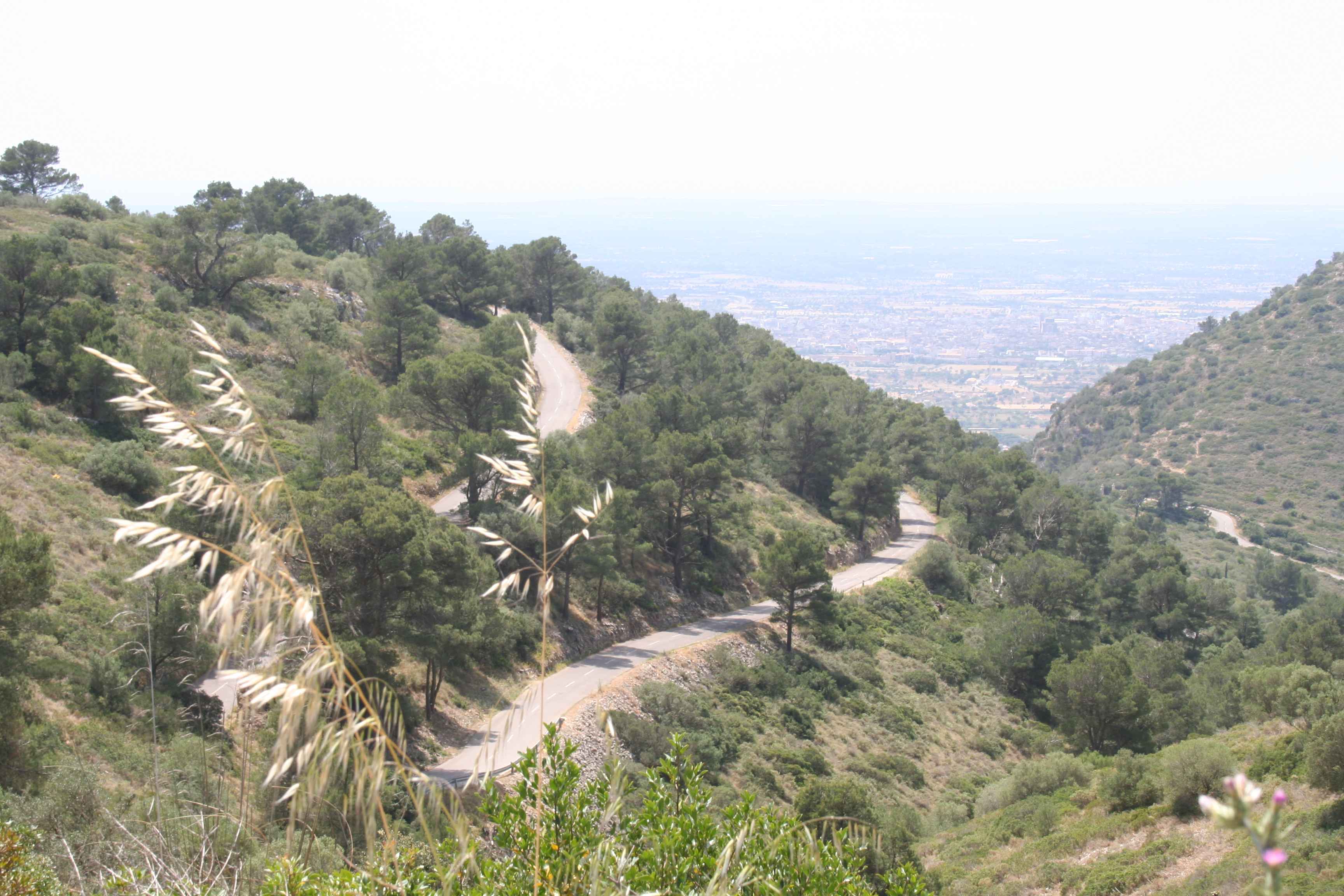 2008-Mallorca-Tag4 (35)