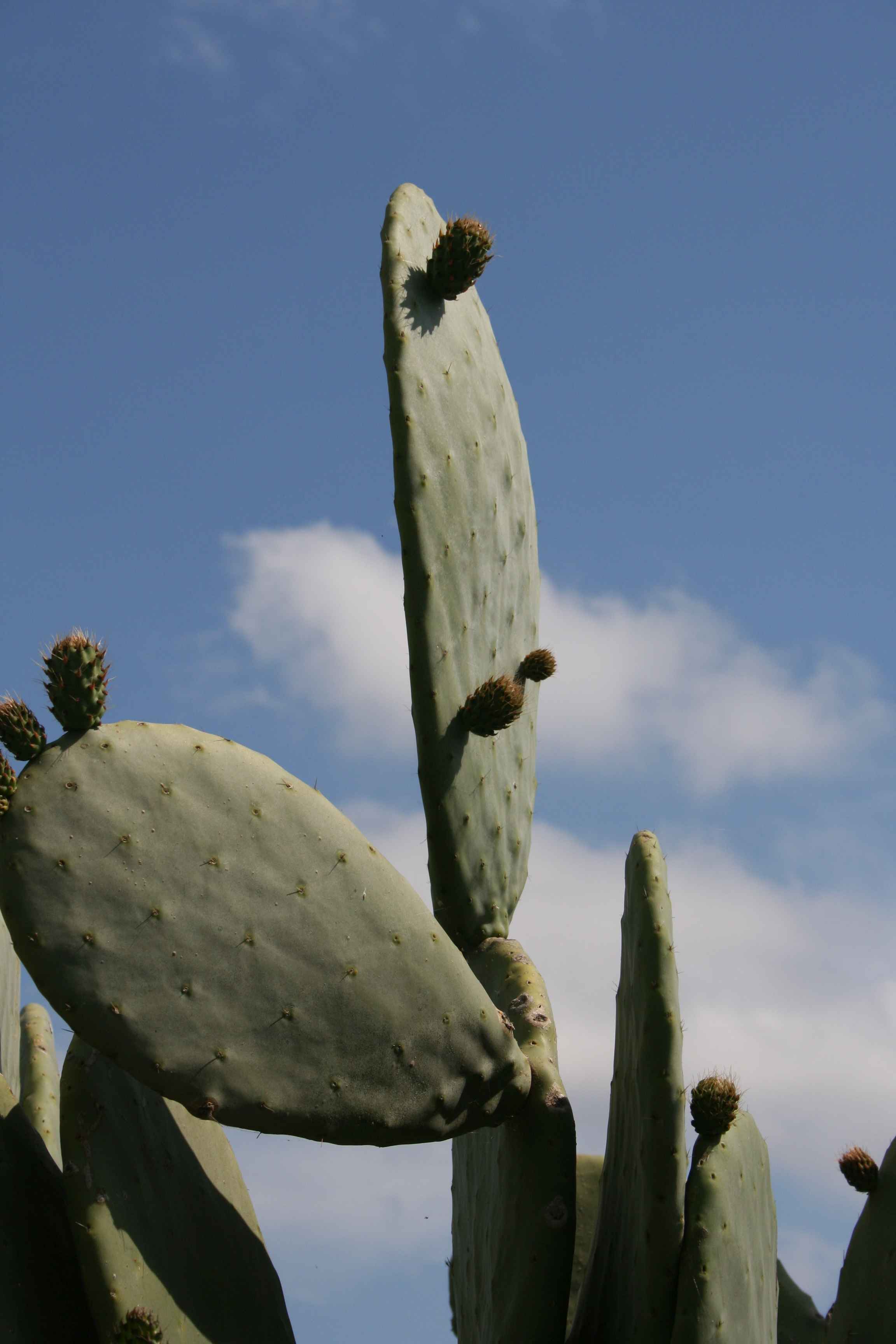 2008-Mallorca-Tag4 (4)