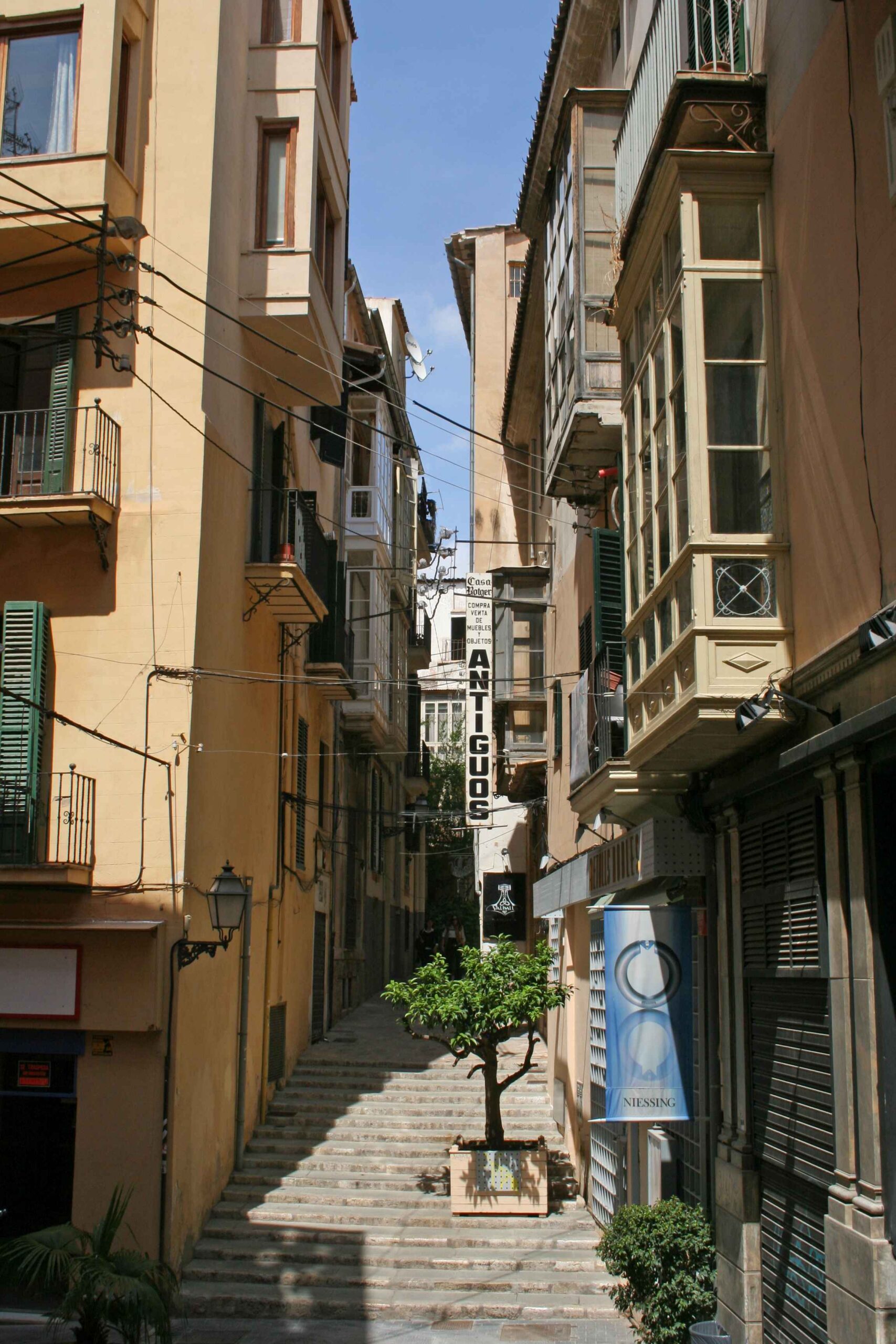 2008-Mallorca-Tag4 (49)