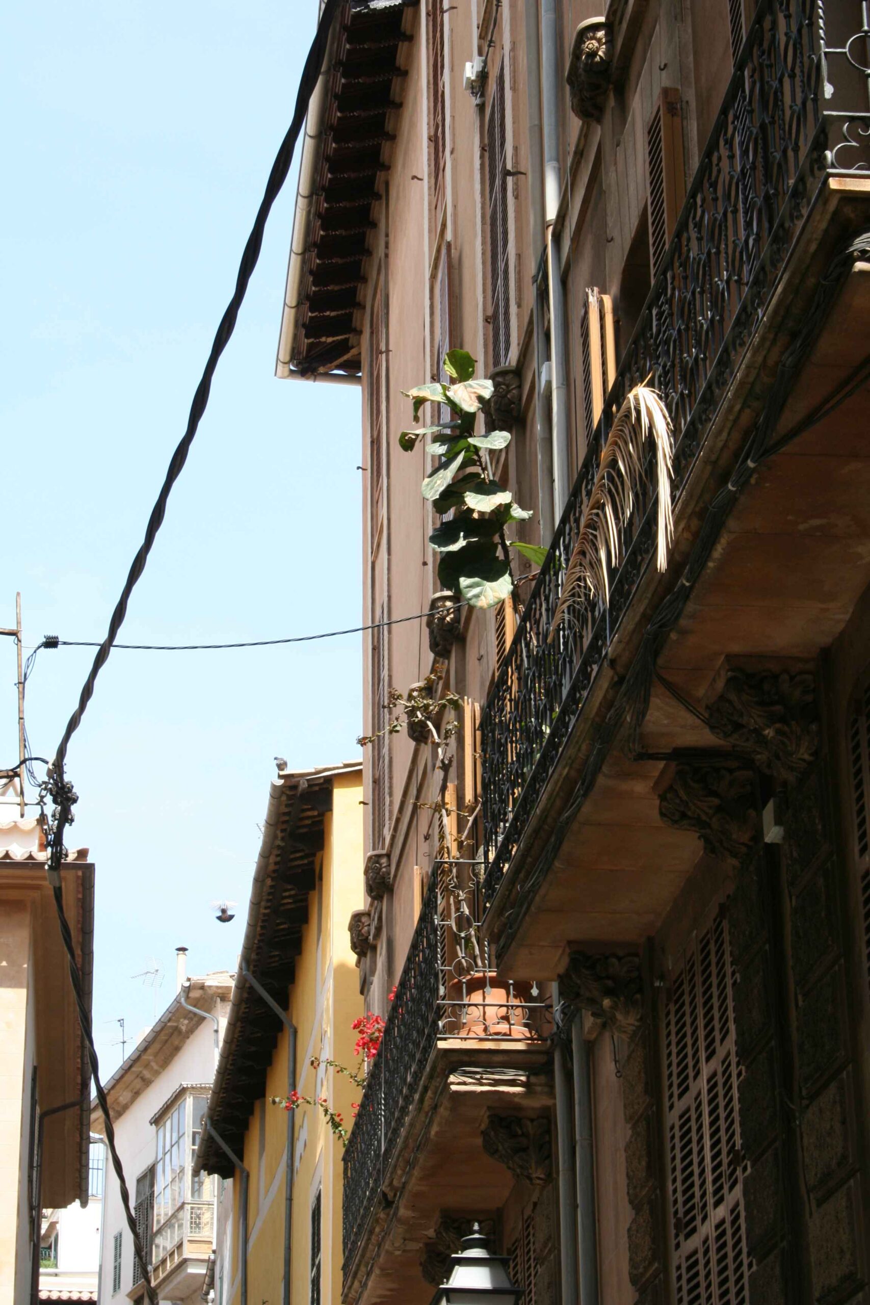 2008-Mallorca-Tag4 (50)