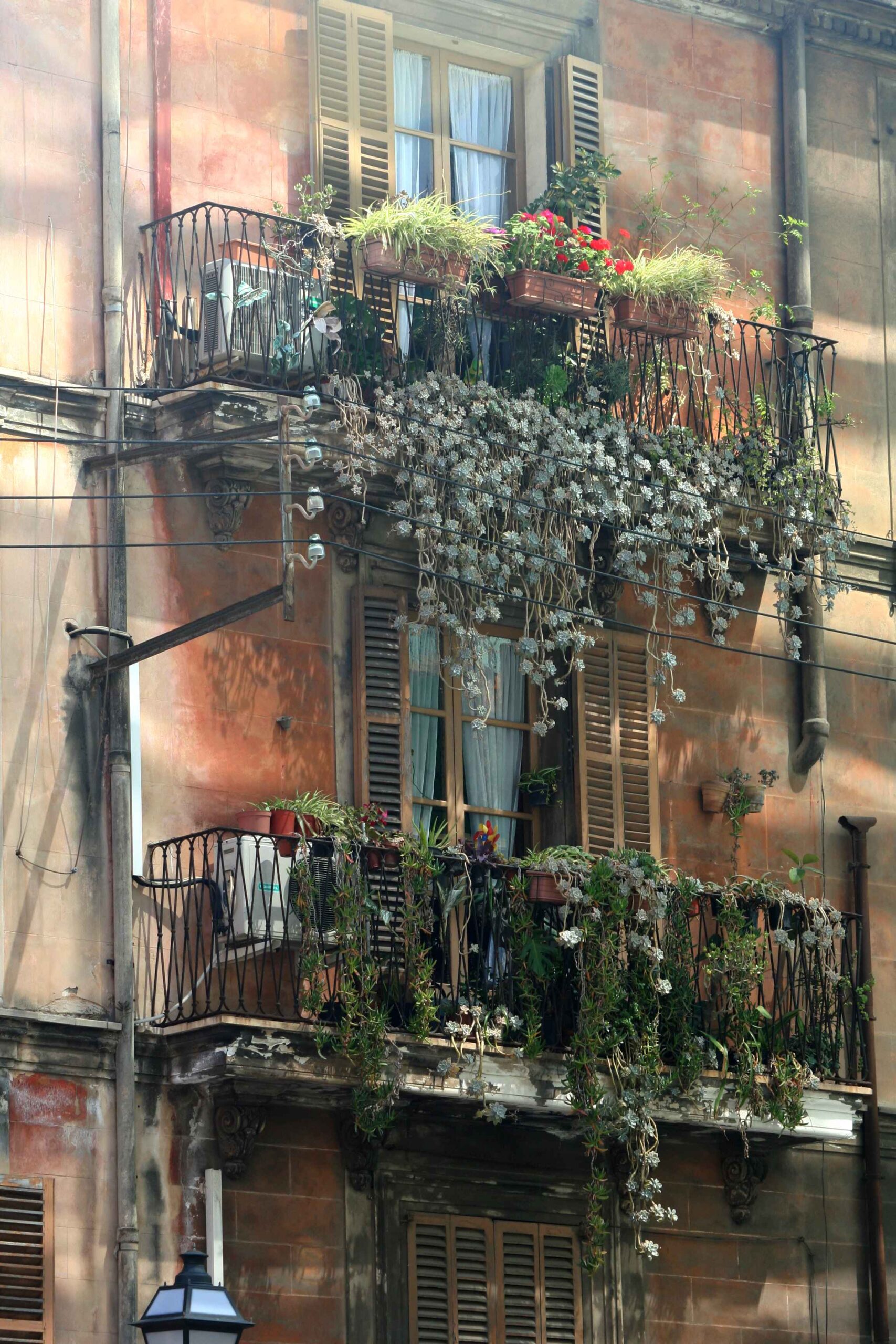 2008-Mallorca-Tag4 (58)