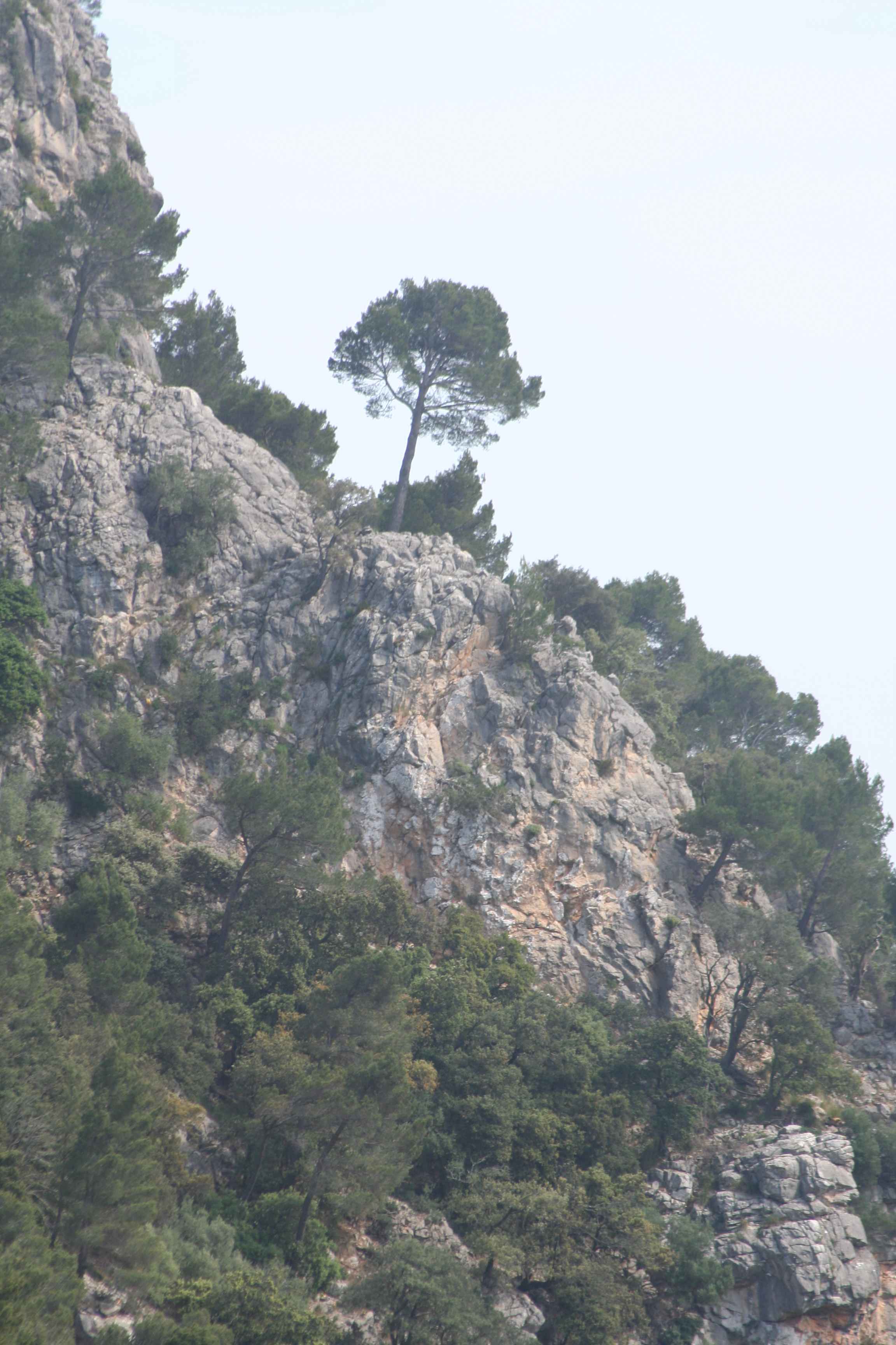 2008-Mallorca-Tag4 (65)