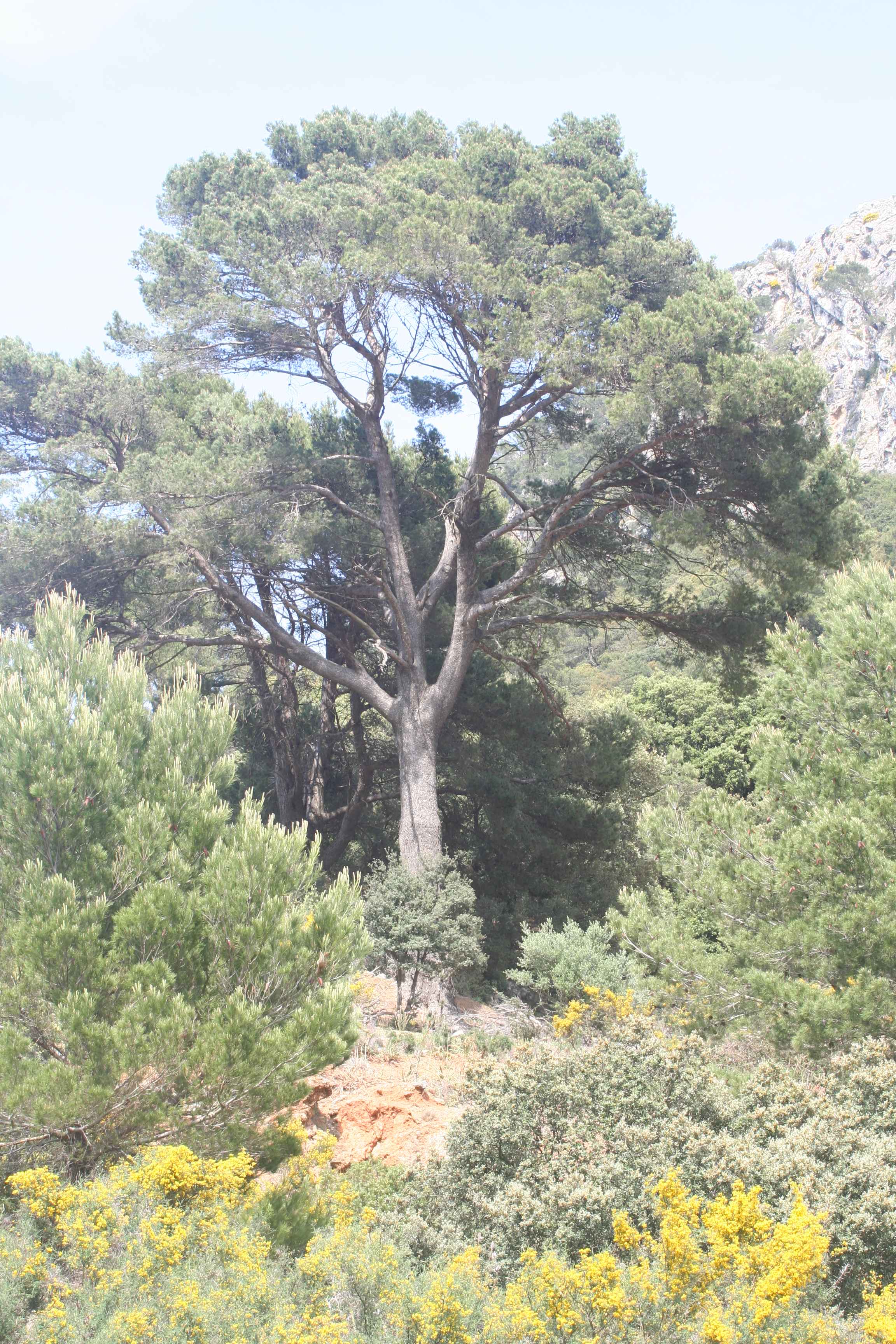 2008-Mallorca-Tag4 (69)