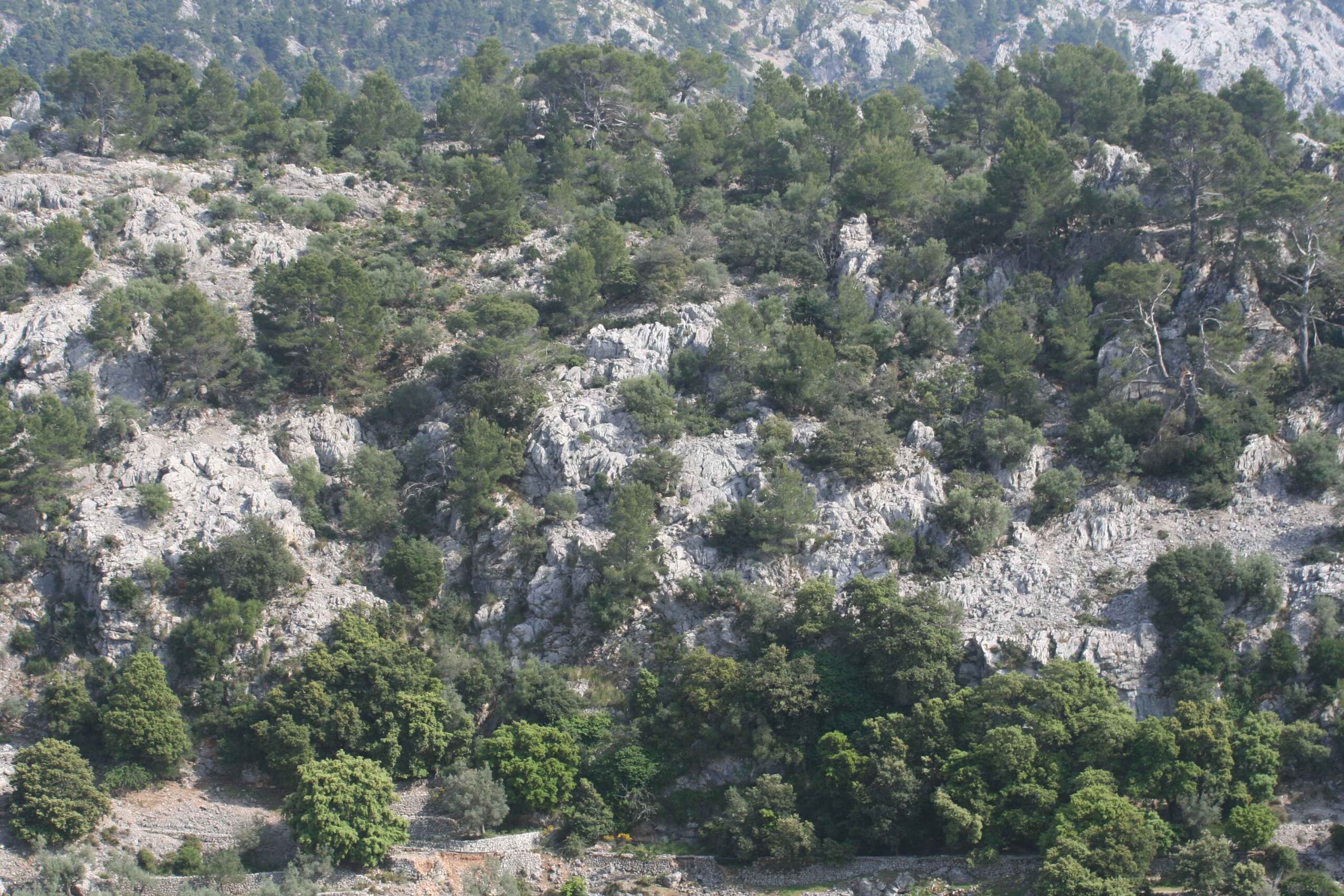 2008-Mallorca-Tag4 (73)