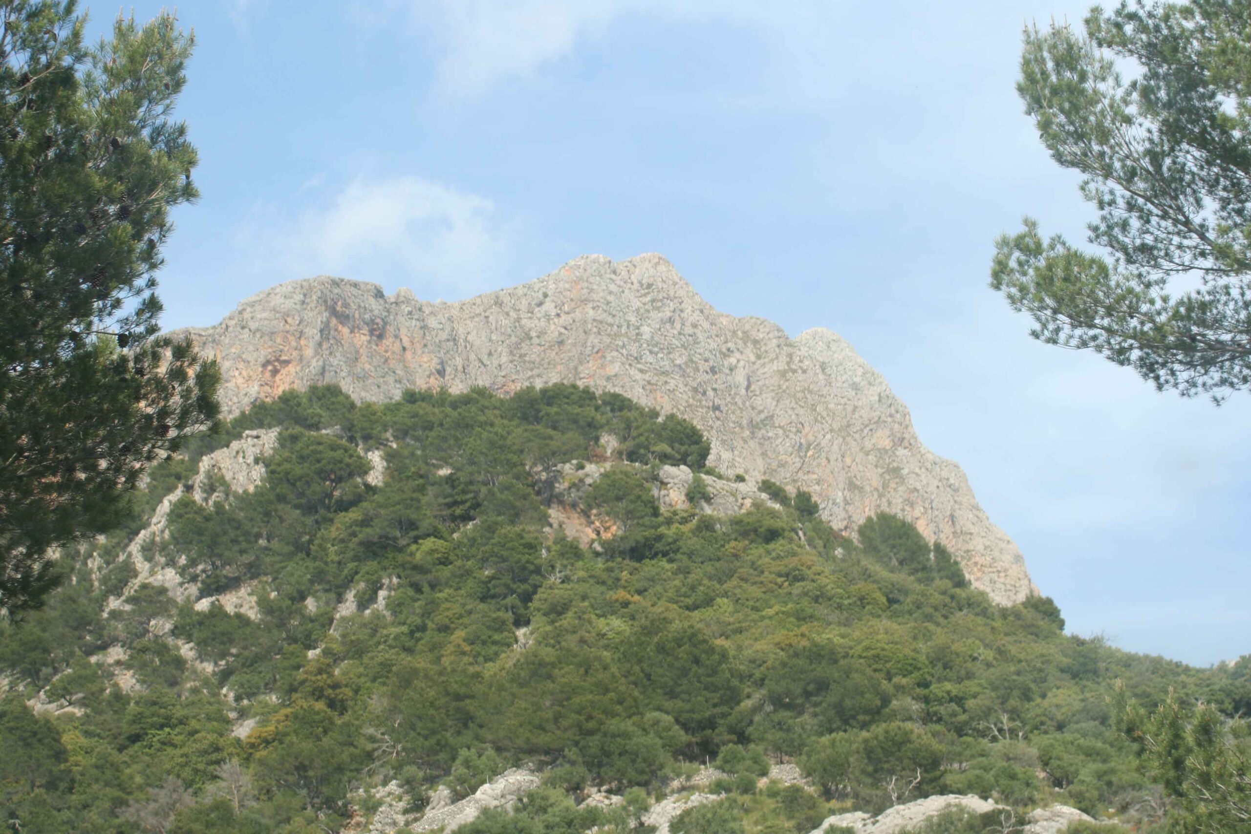 2008-Mallorca-Tag4 (74)