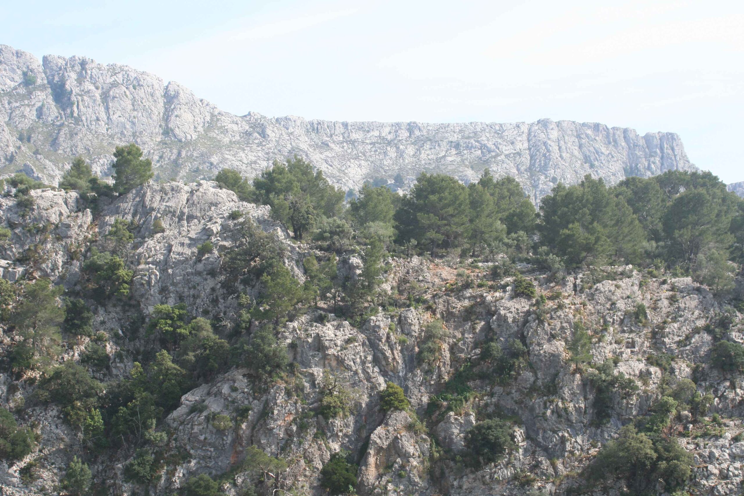 2008-Mallorca-Tag4 (75)