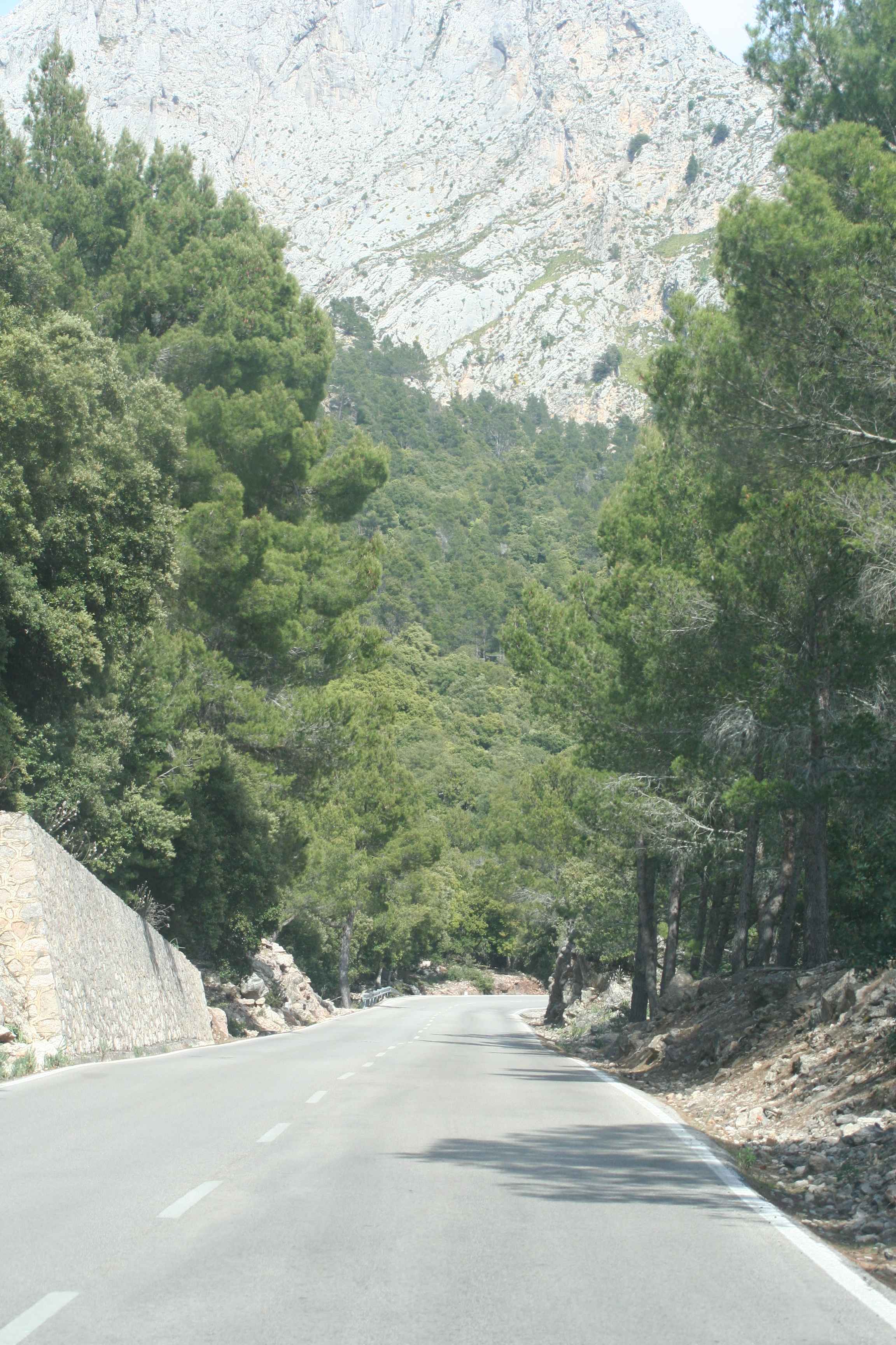 2008-Mallorca-Tag4 (76)