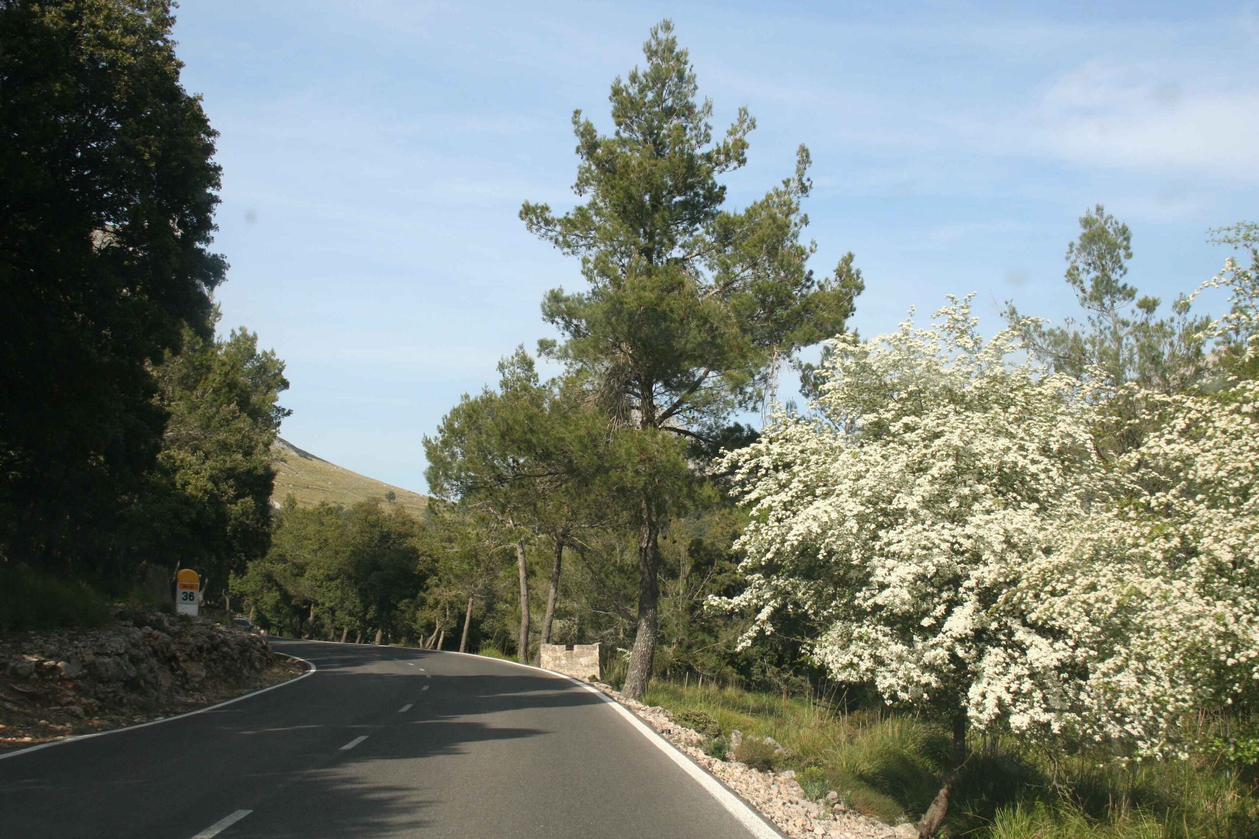 2008-Mallorca-Tag4 (78)