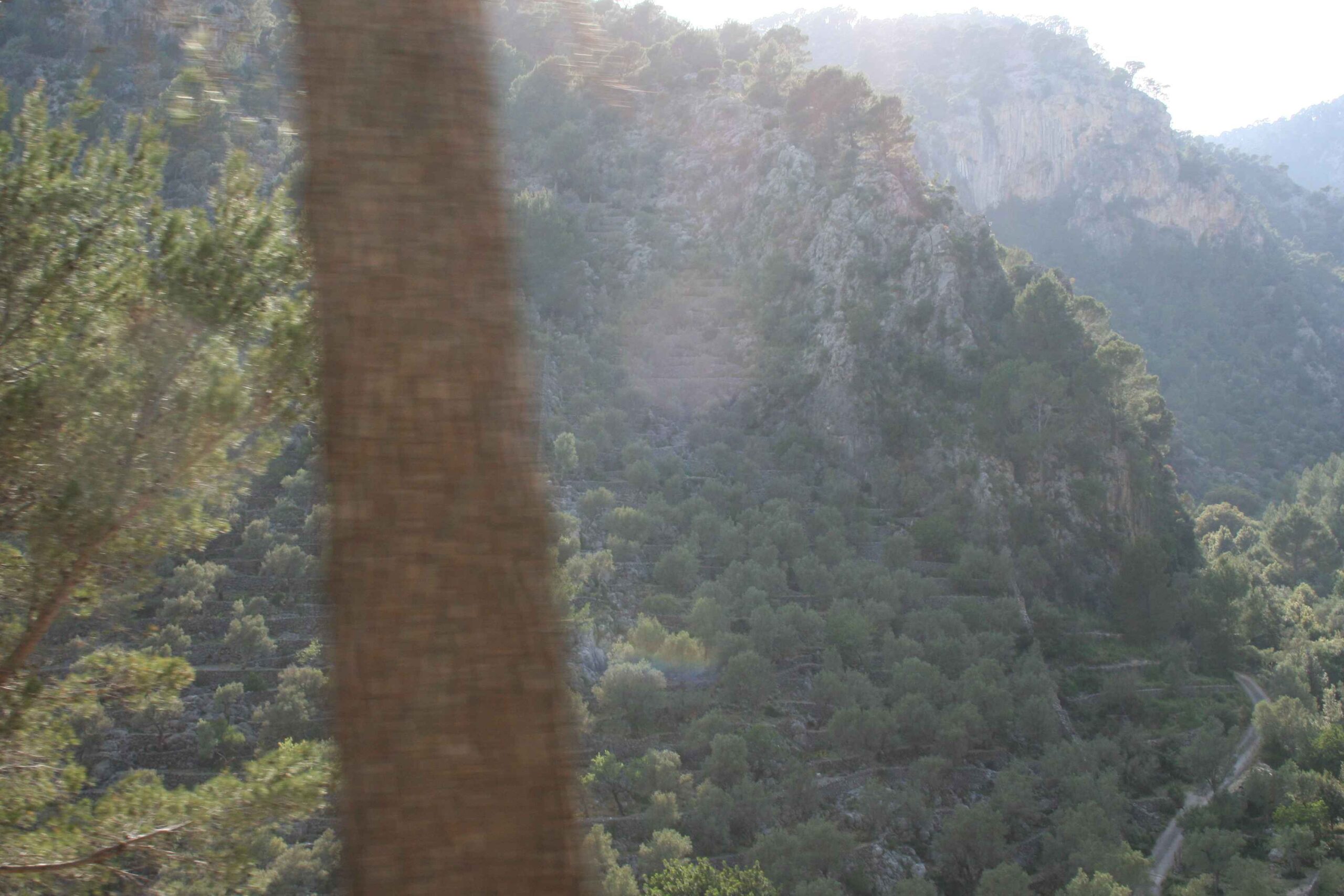 2008-Mallorca-Tag4 (91)