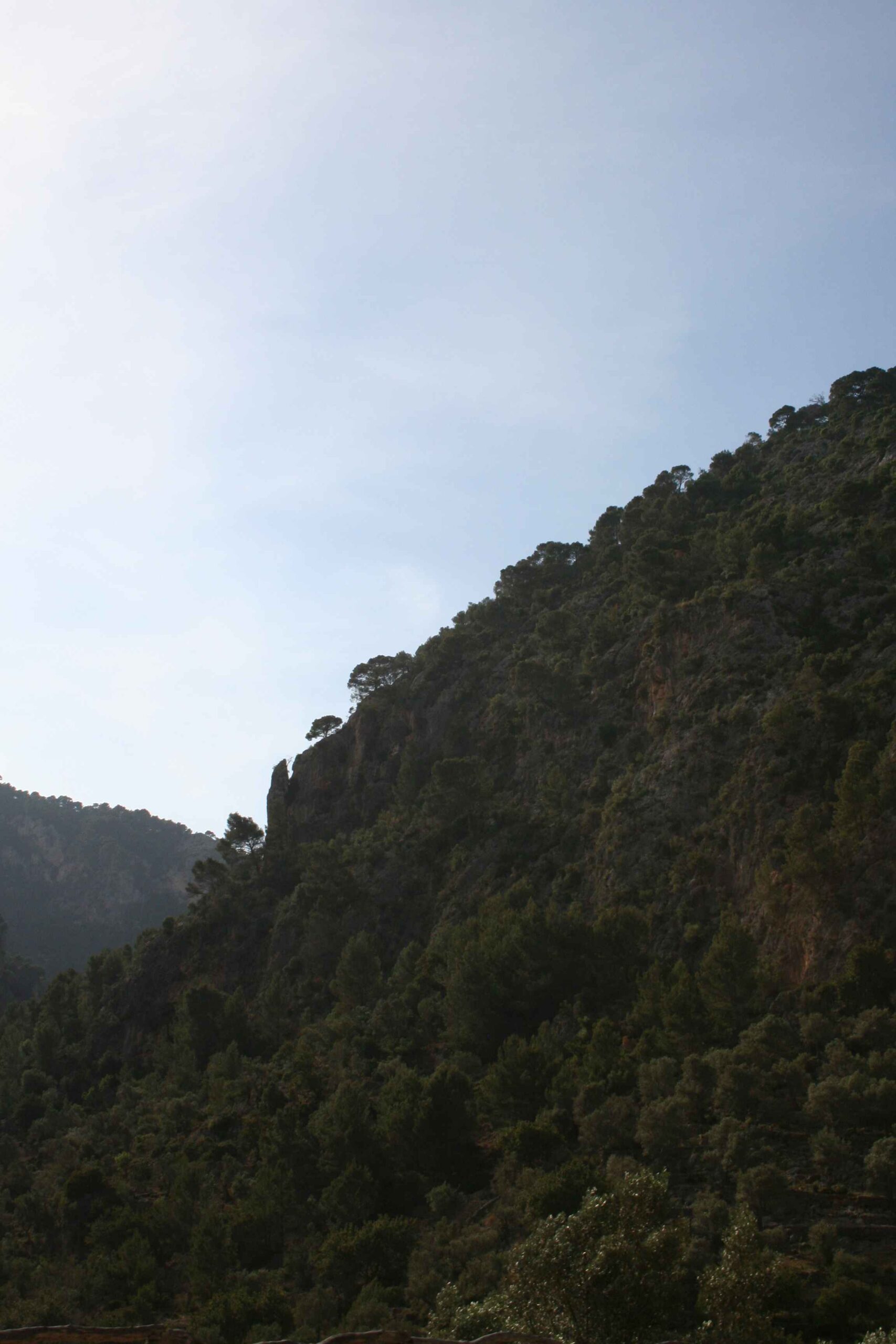 2008-Mallorca-Tag4 (92)