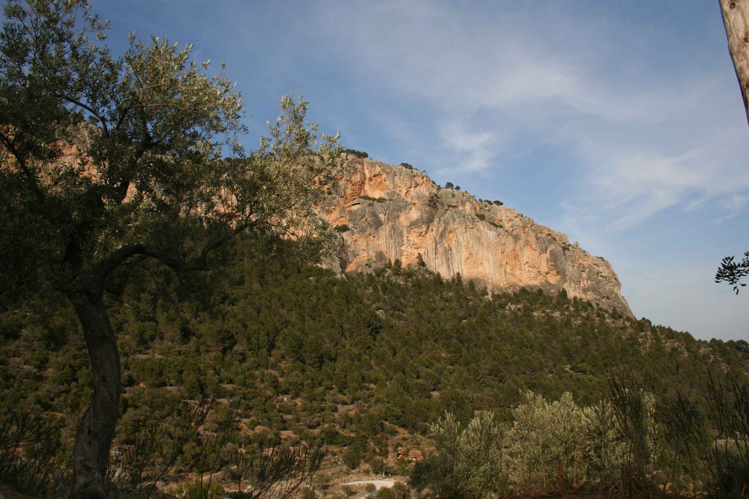 2008-Mallorca-Tag4 (93)