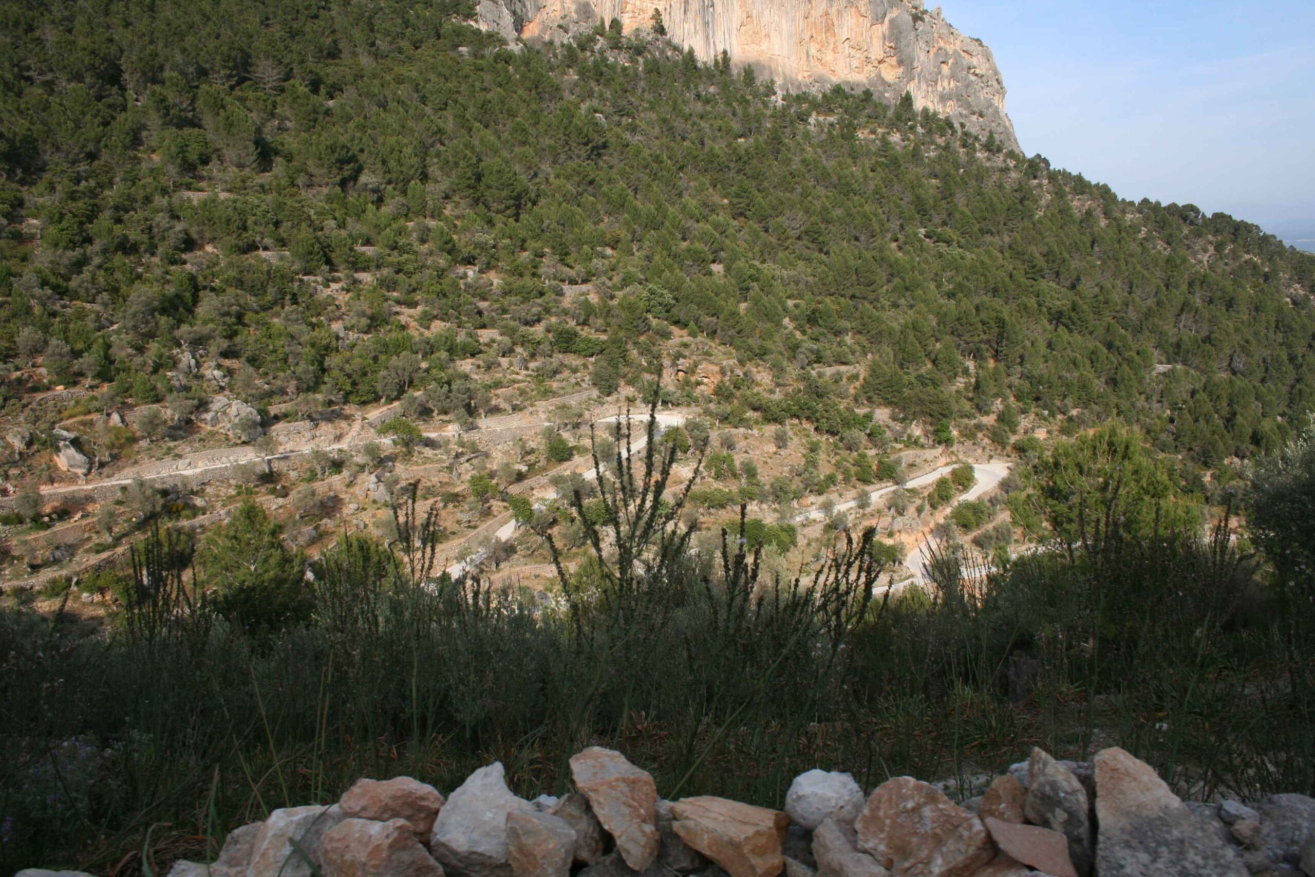 2008-Mallorca-Tag4 (94)