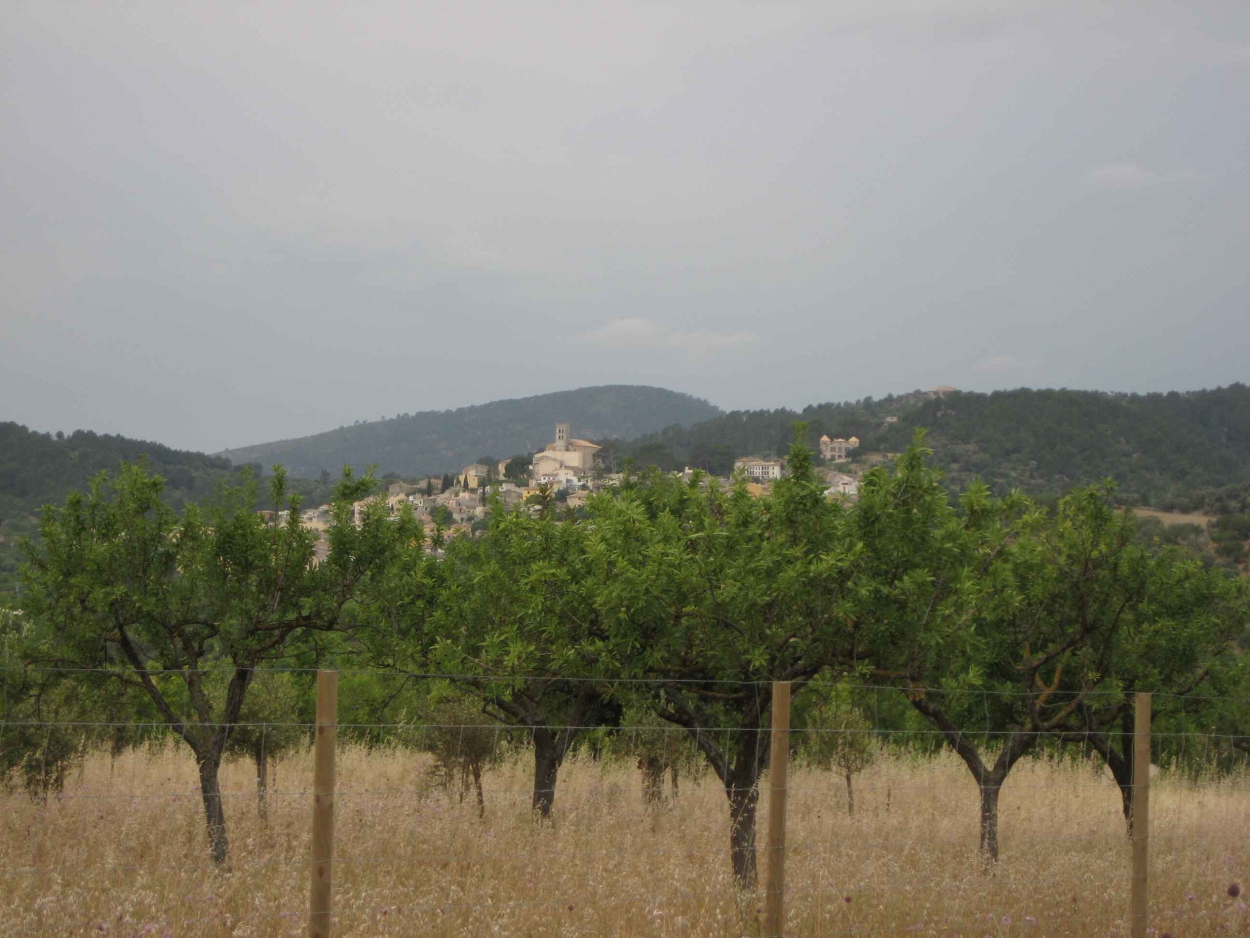 2008-Mallorca-Tag5 (1)