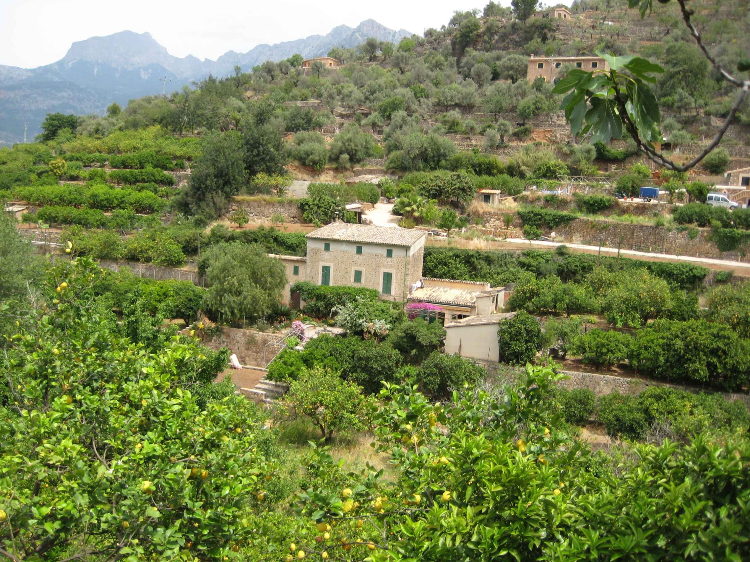 2008-Mallorca-Tag5 (22)