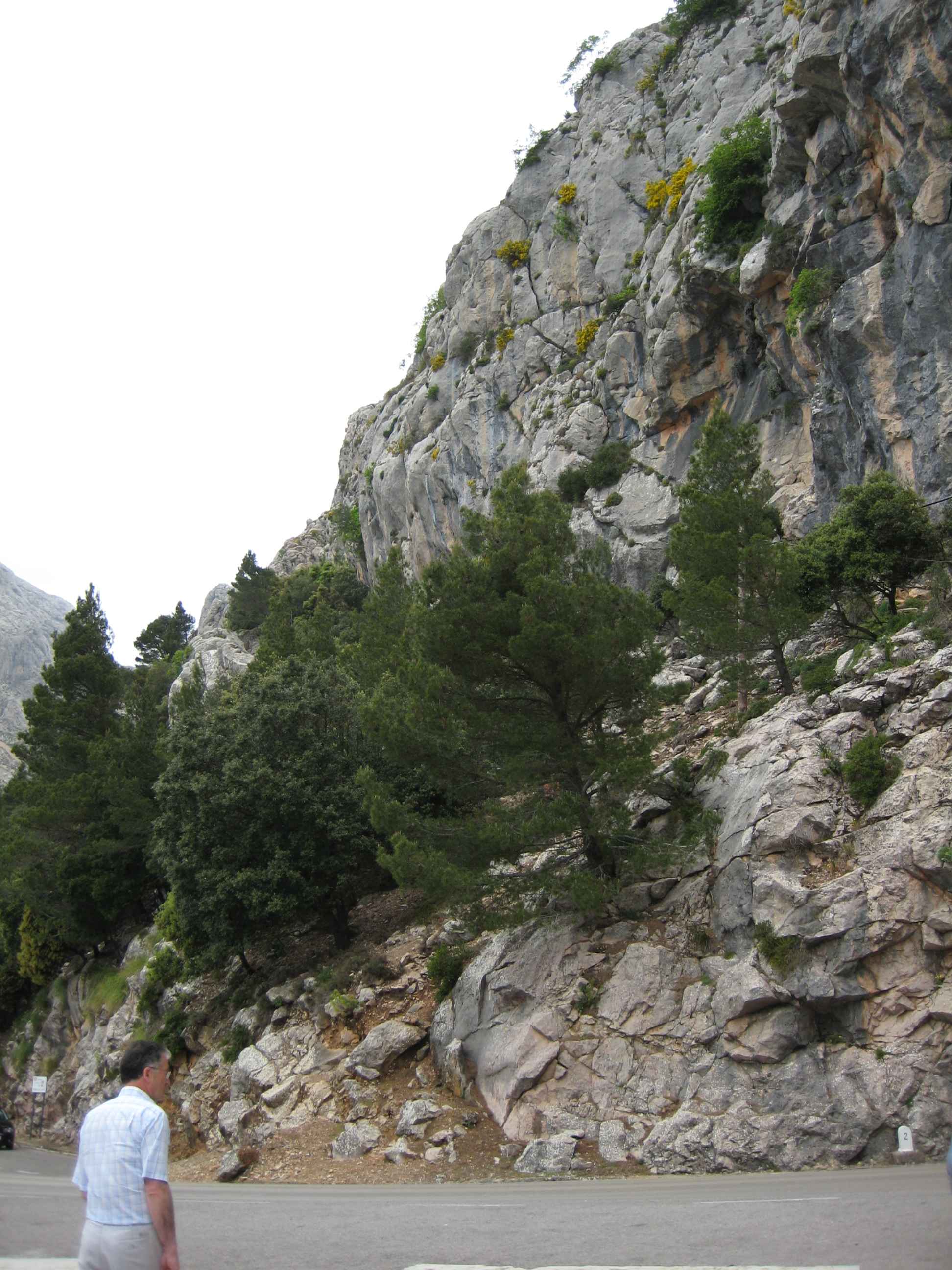 2008-Mallorca-Tag5 (38)