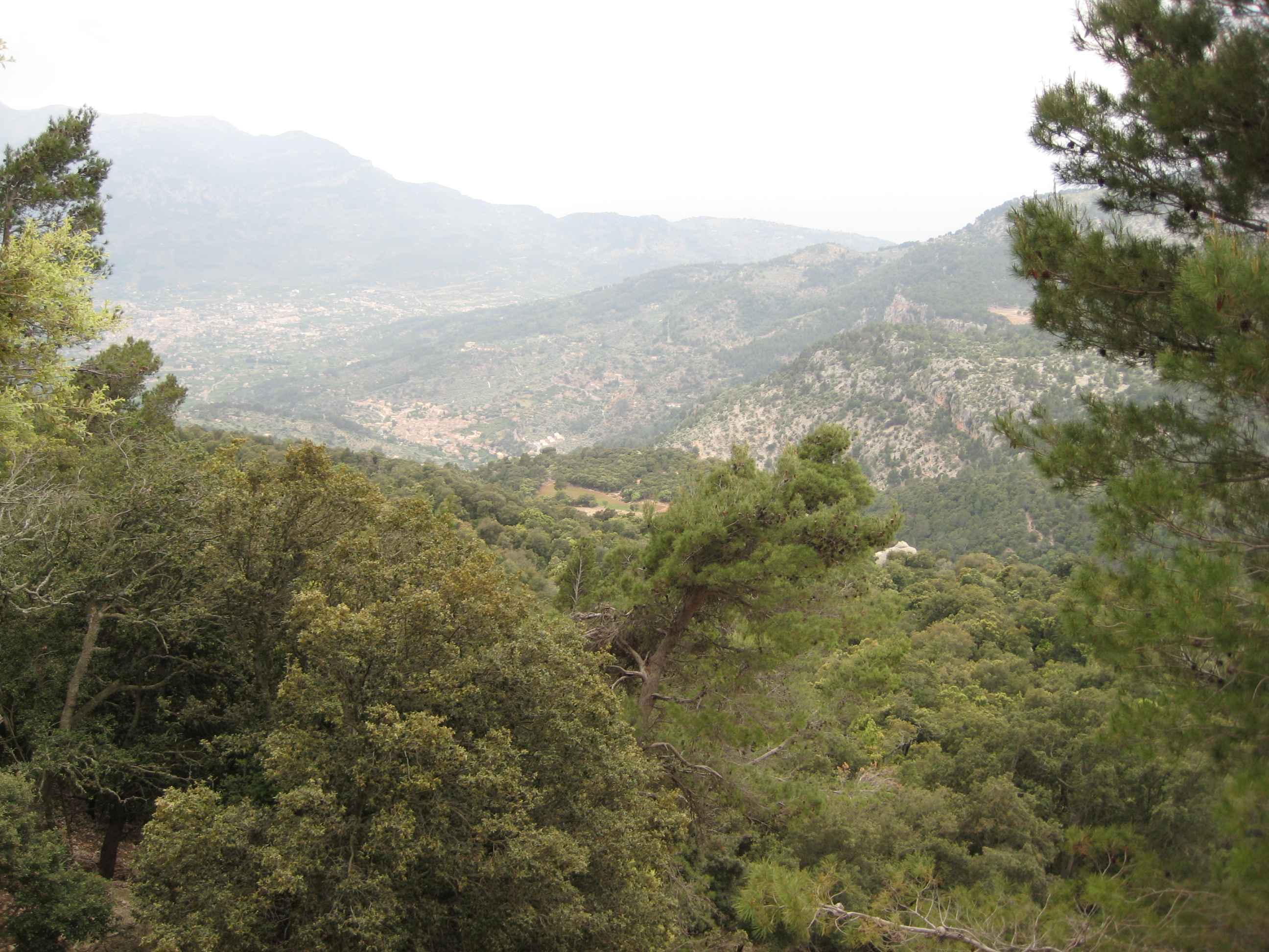 2008-Mallorca-Tag5 (39)