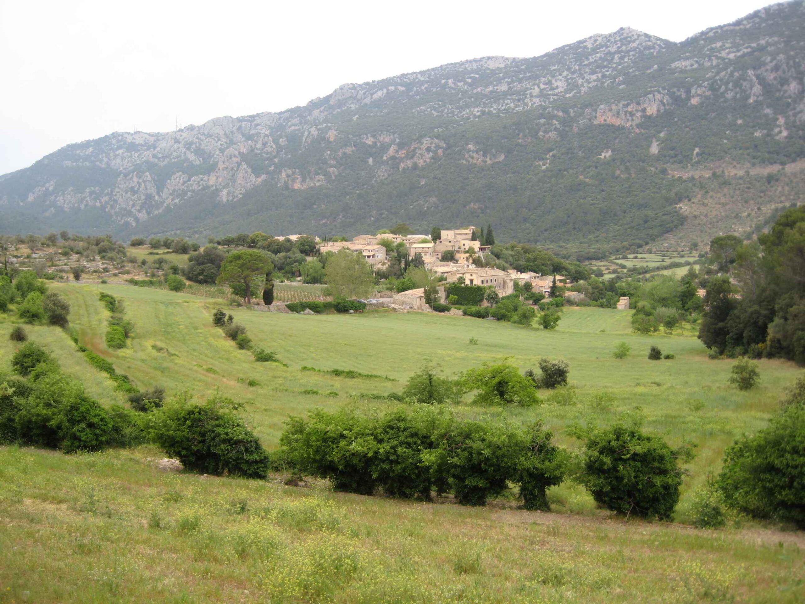 2008-Mallorca-Tag5 (7)