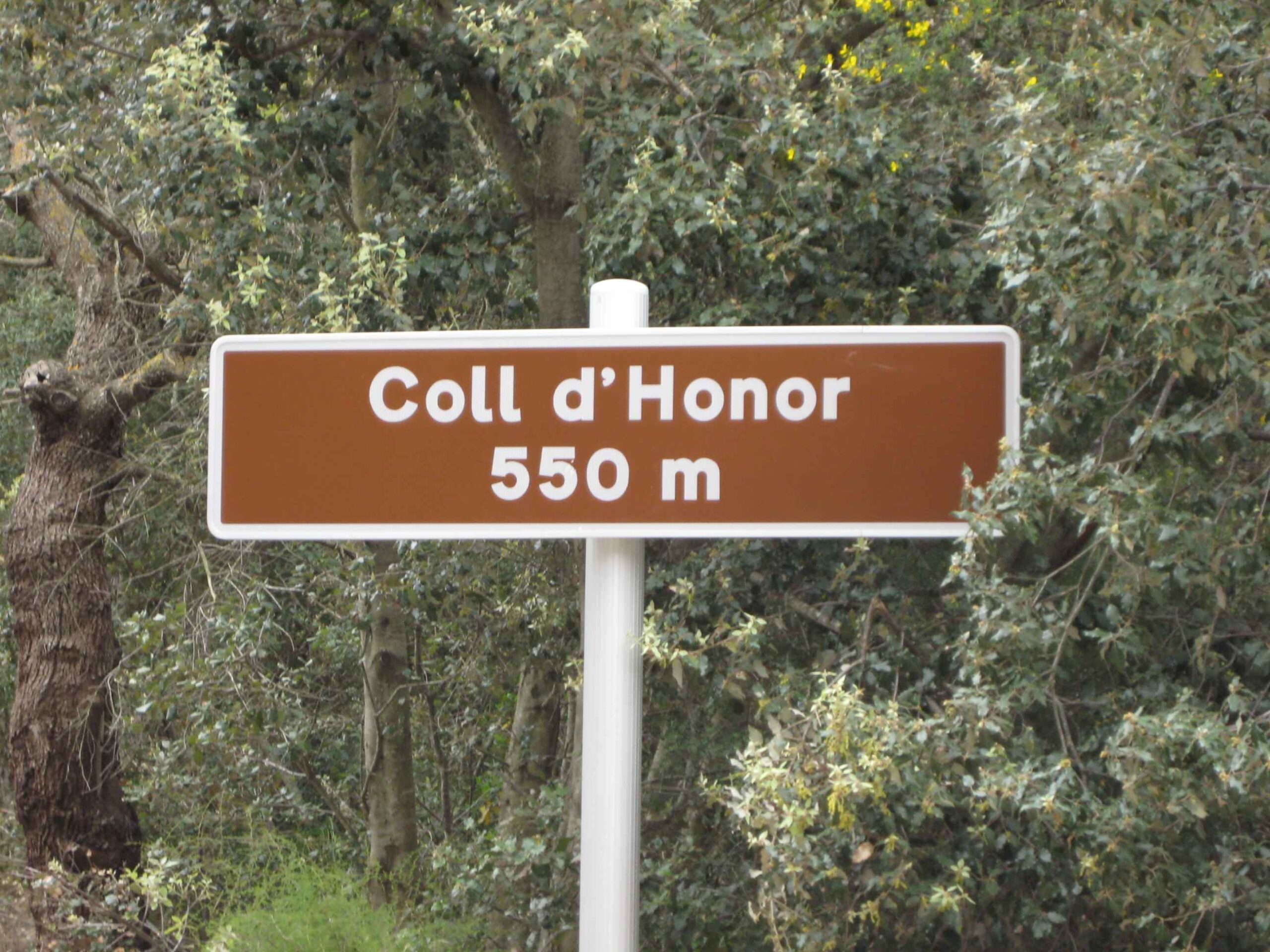 2008-Mallorca-Tag5 (9)