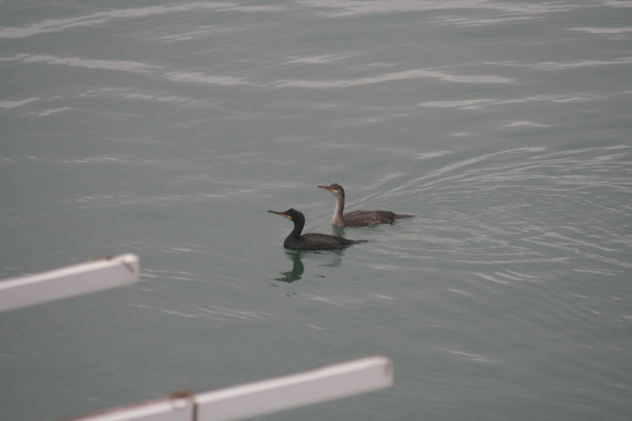 2008-Mallorca-Tag6 (7)