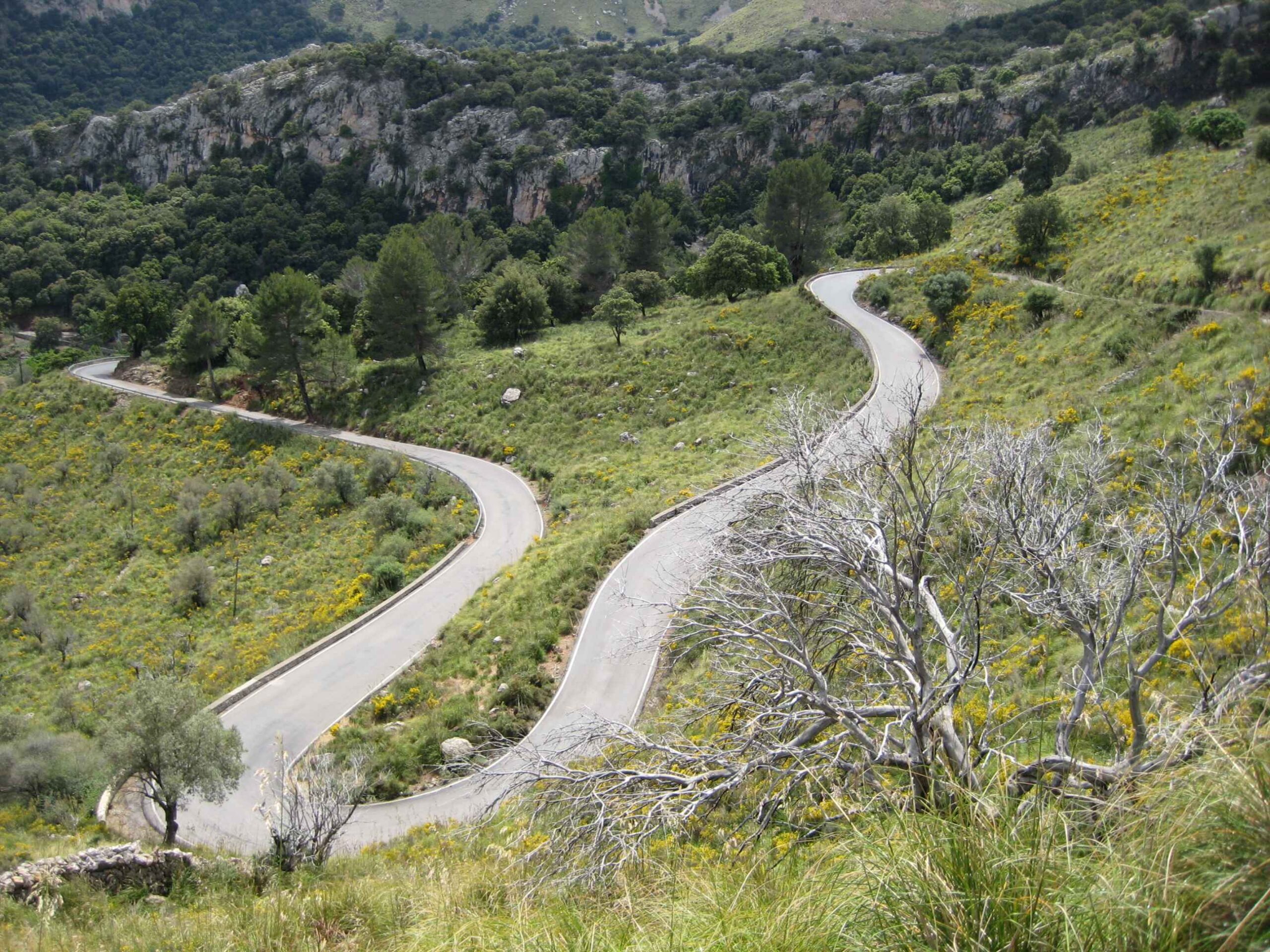 2008-Mallorca-Tag7 (13)