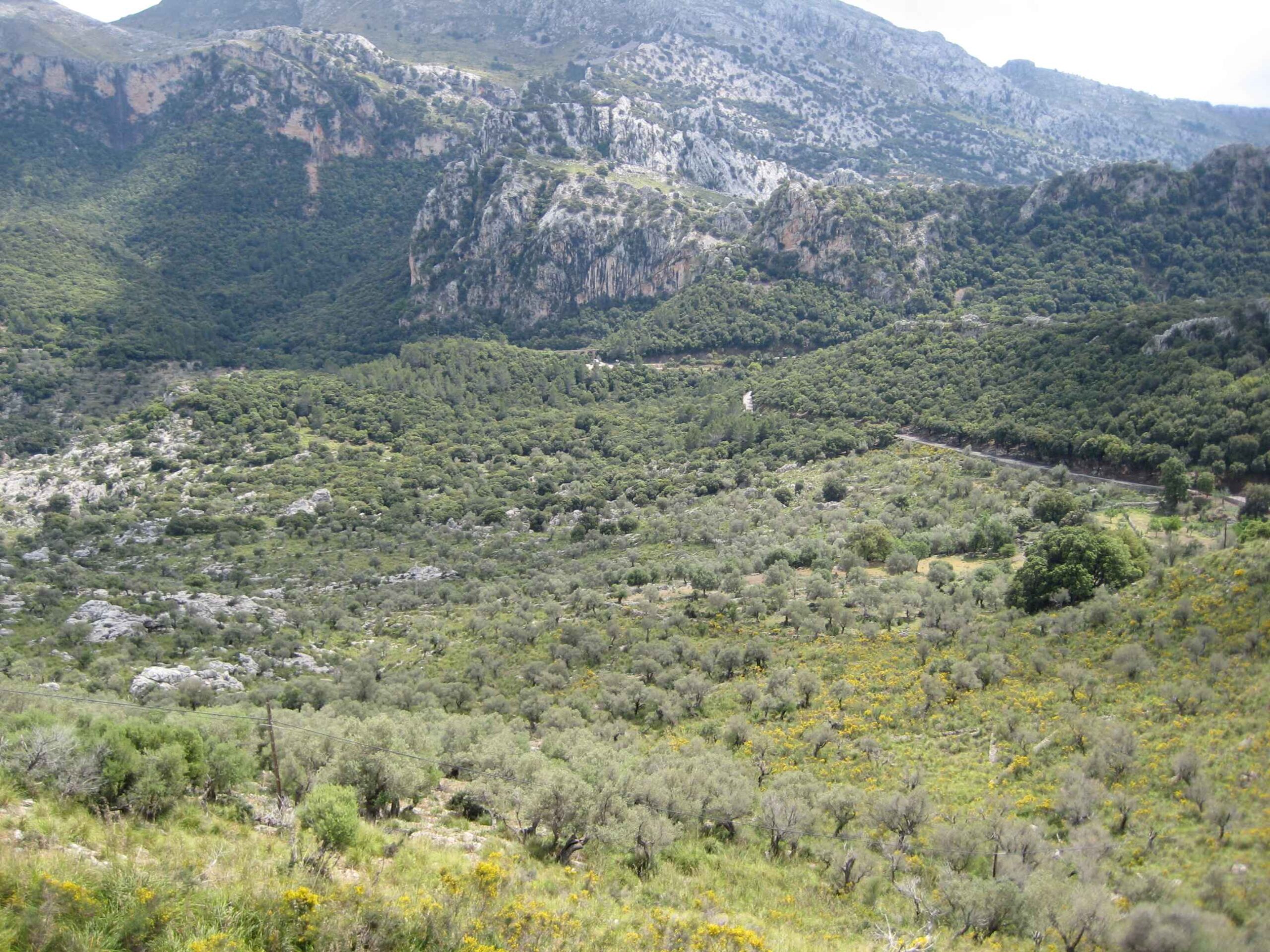 2008-Mallorca-Tag7 (14)