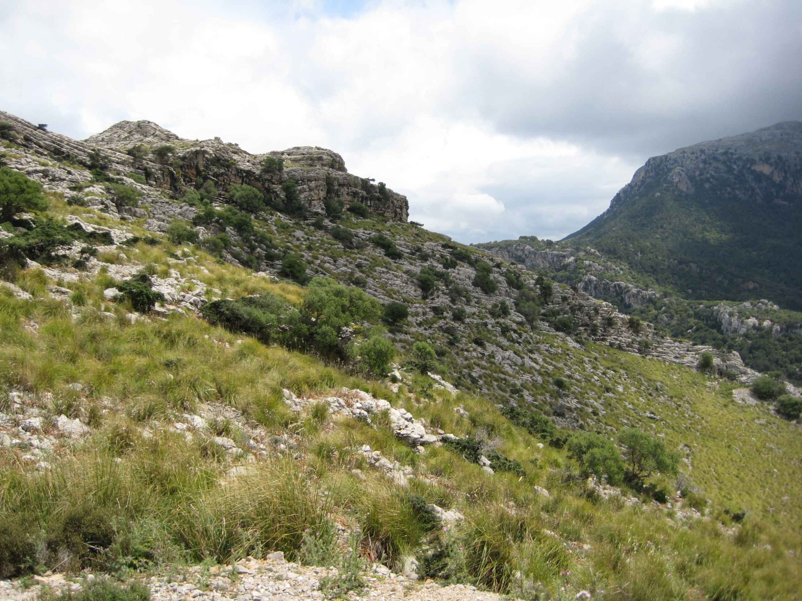 2008-Mallorca-Tag7 (18)