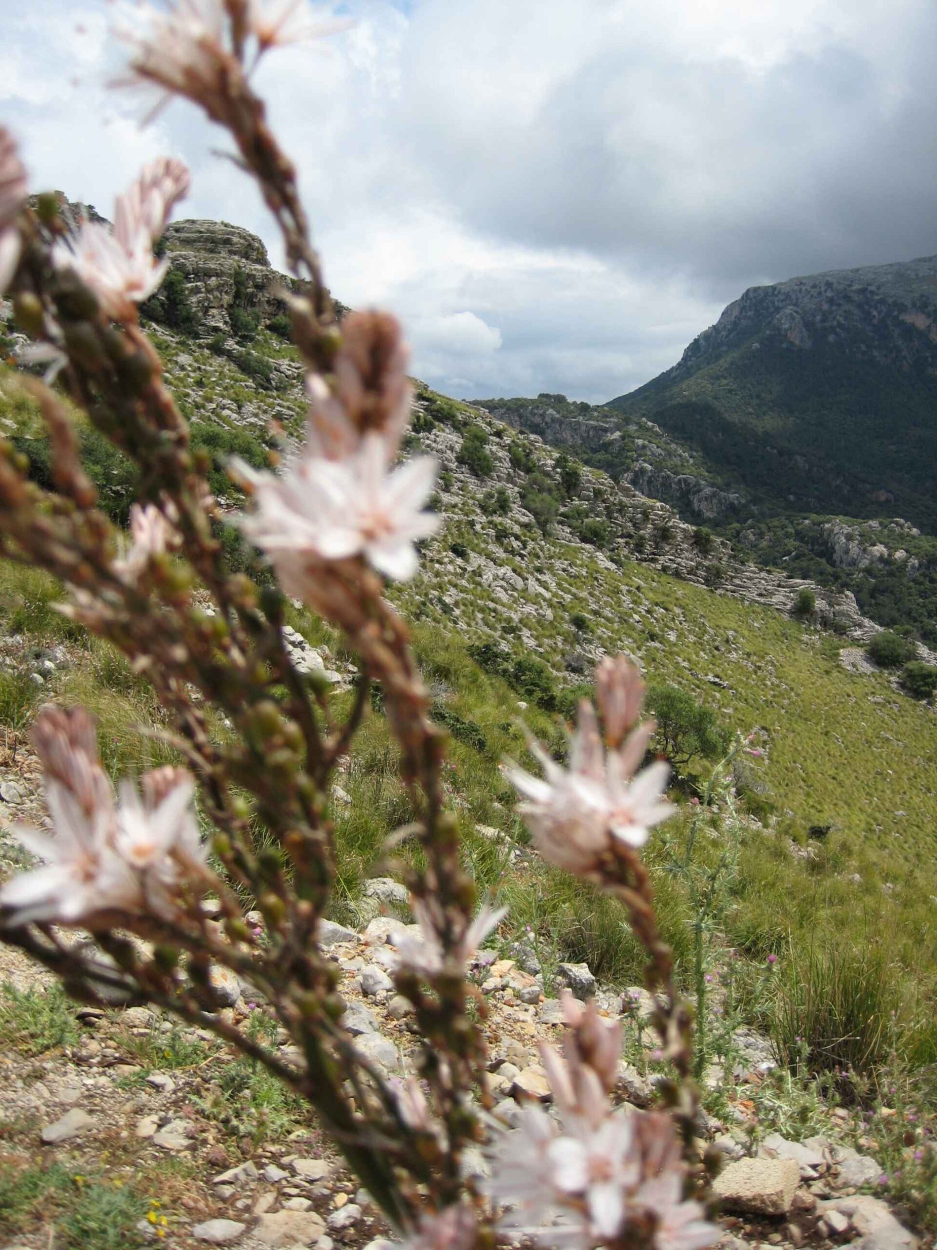 2008-Mallorca-Tag7 (19)