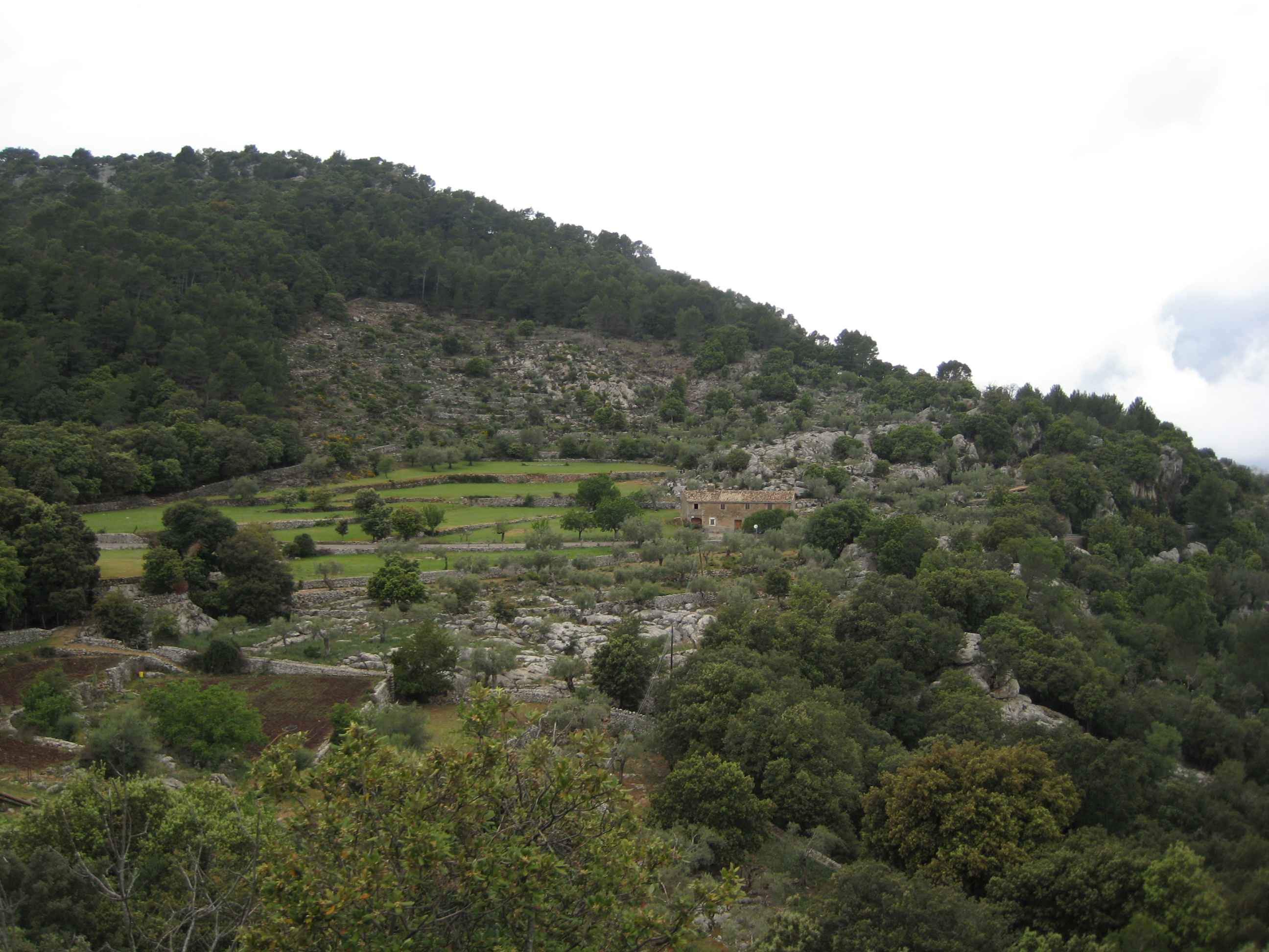 2008-Mallorca-Tag7 (9)