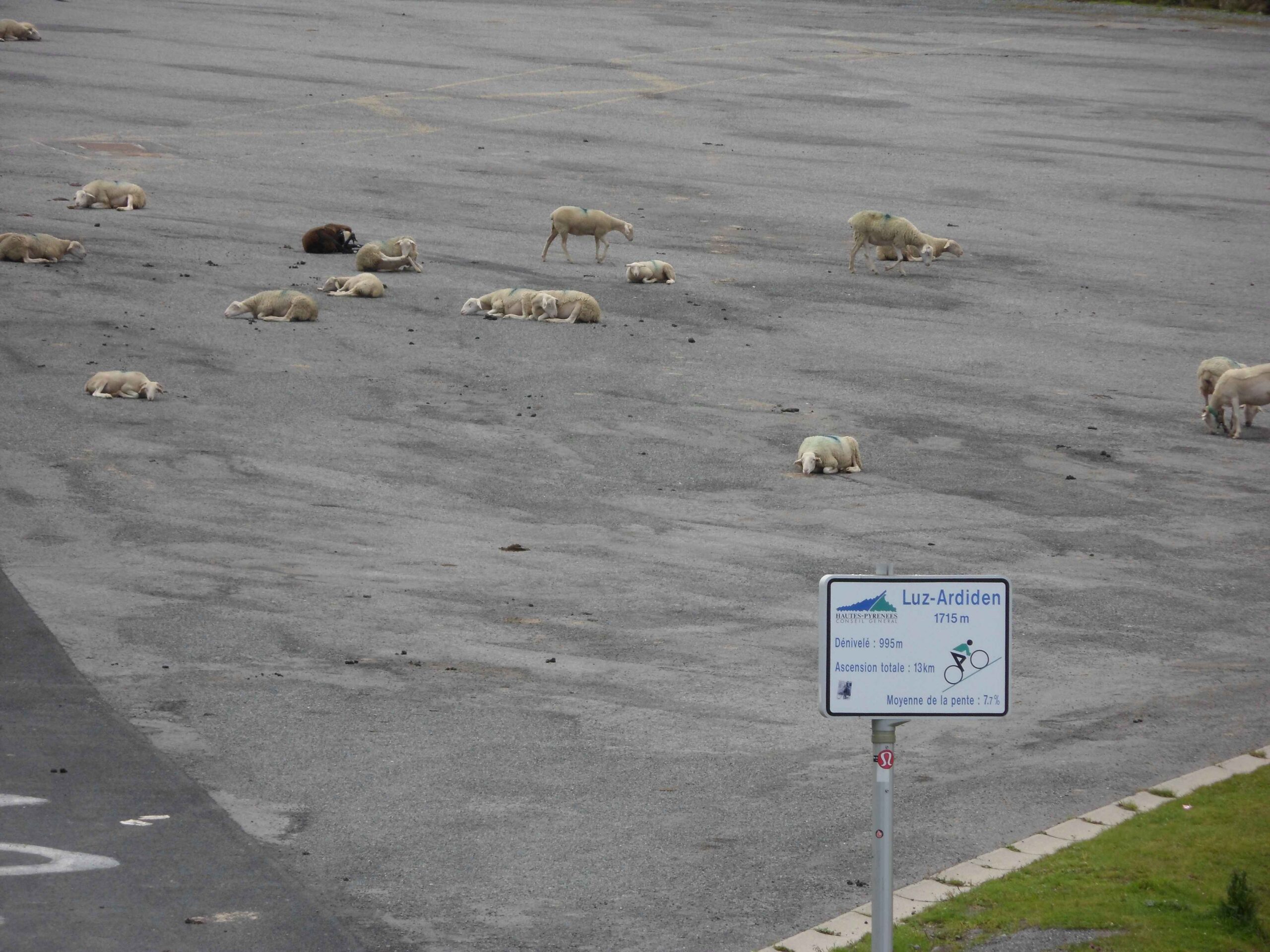 2011-Pyrenäen-Tag1 (66)