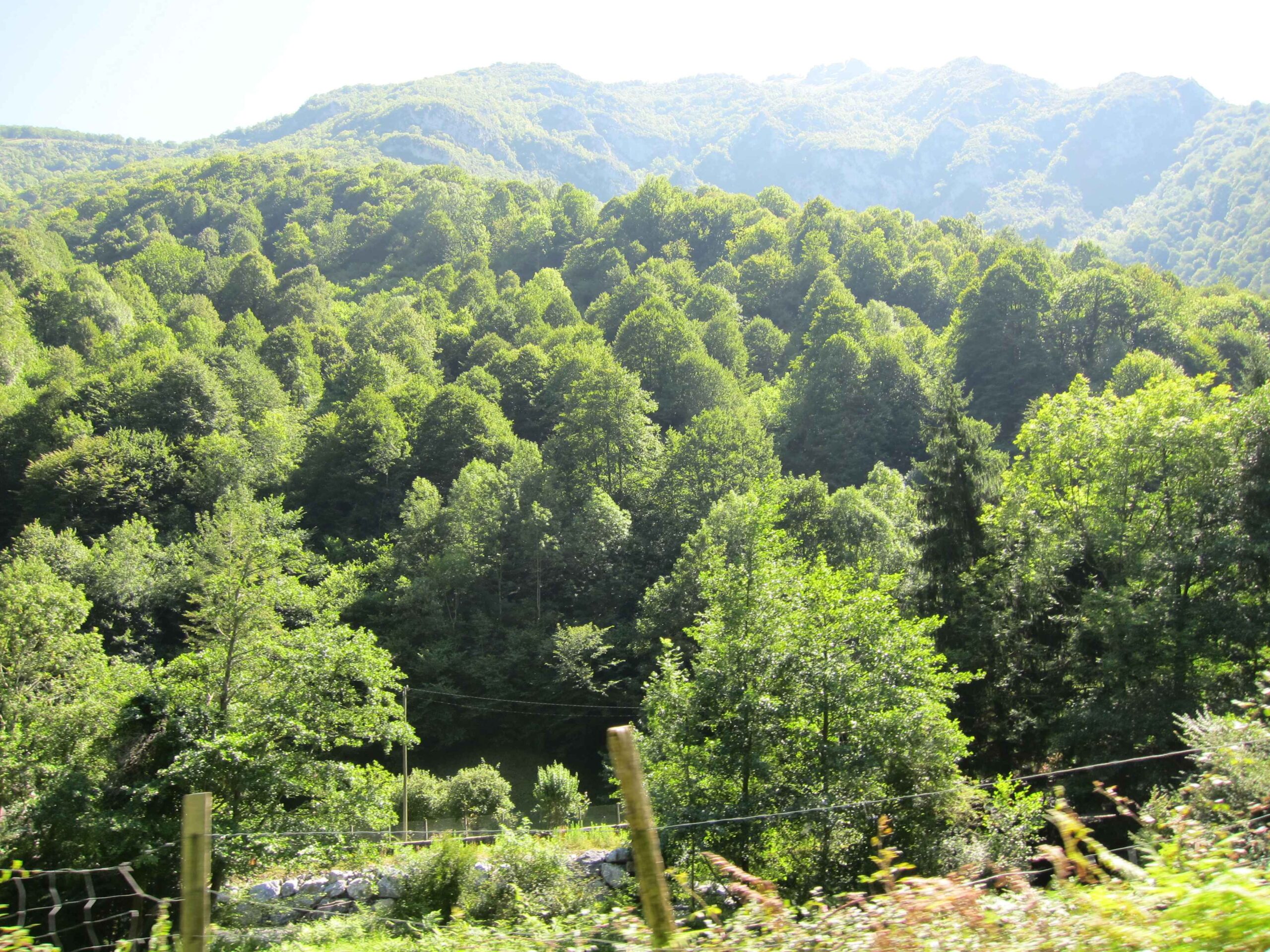 2011-Pyrenäen-Tag2 (11)