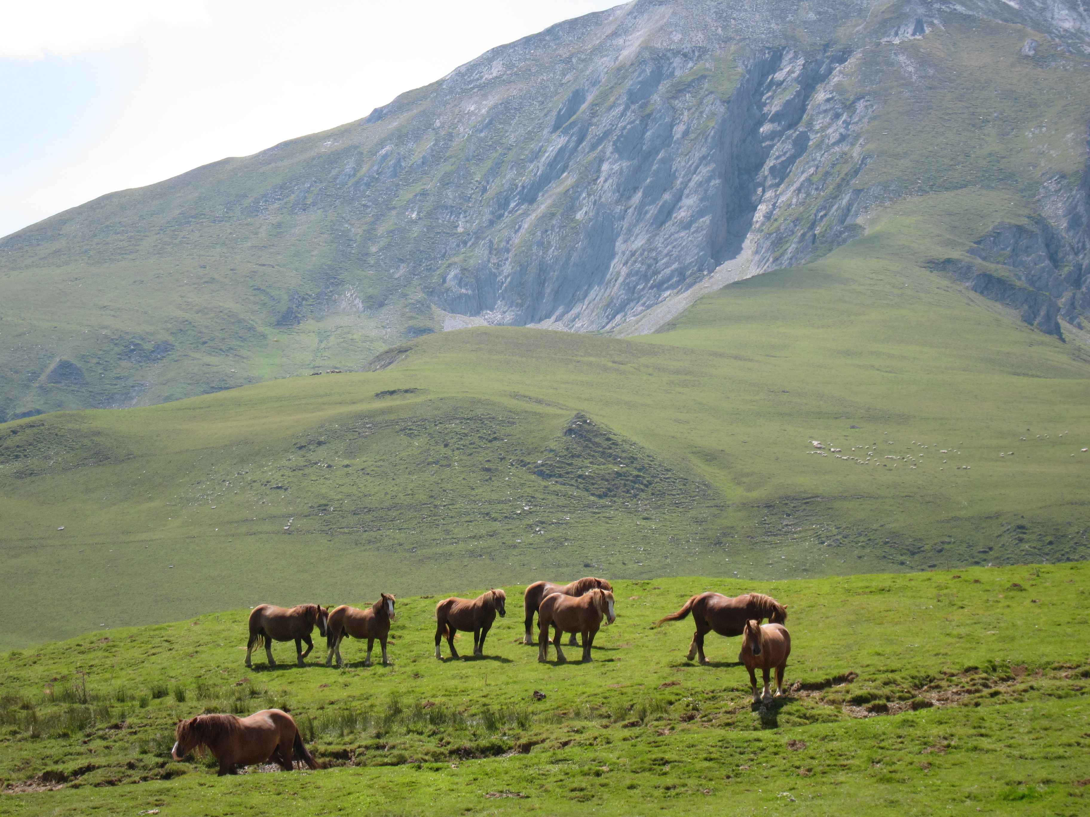 2011-Pyrenäen-Tag2 (29)