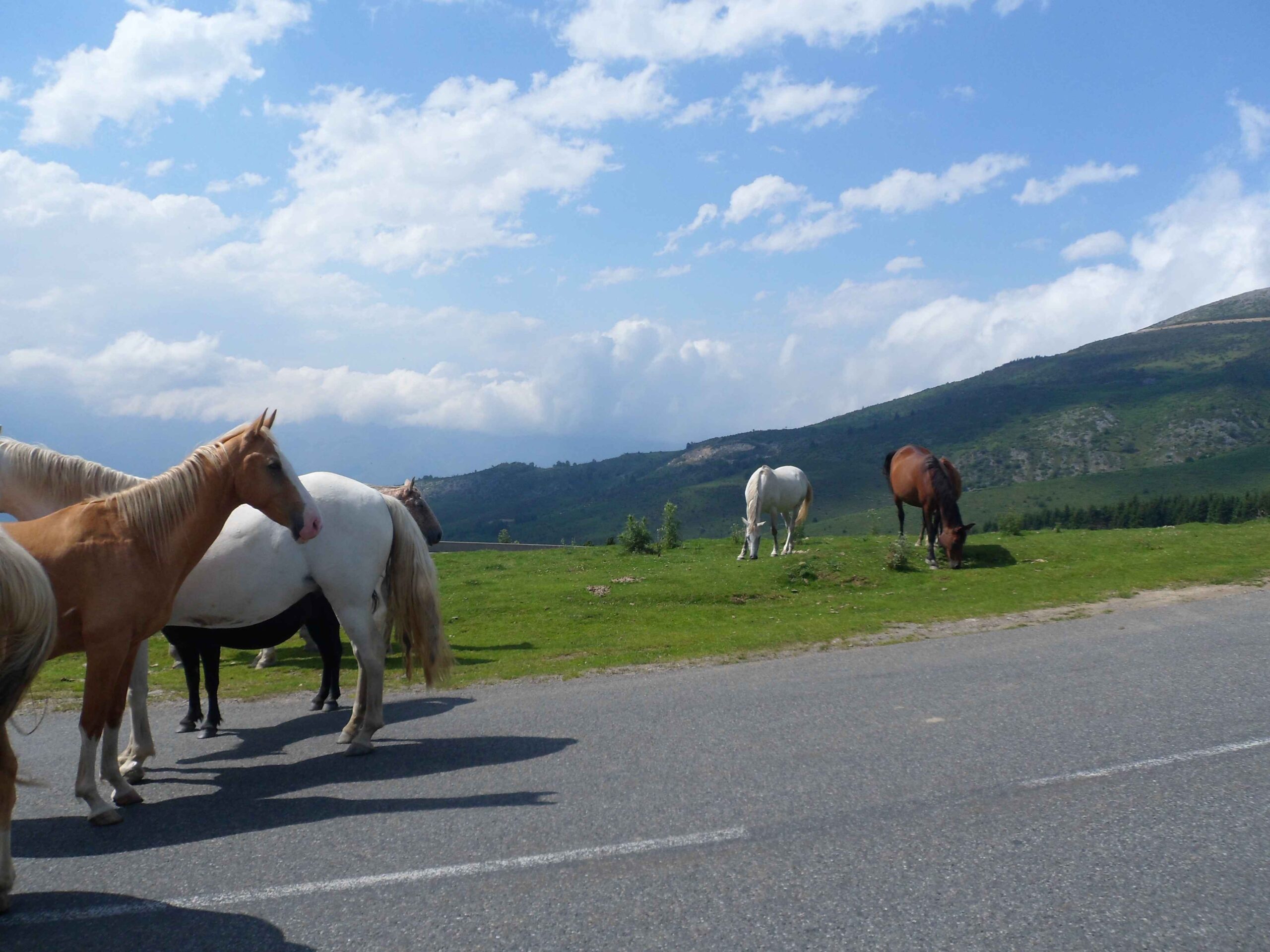 2011-Pyrenäen-Tag3 (52)