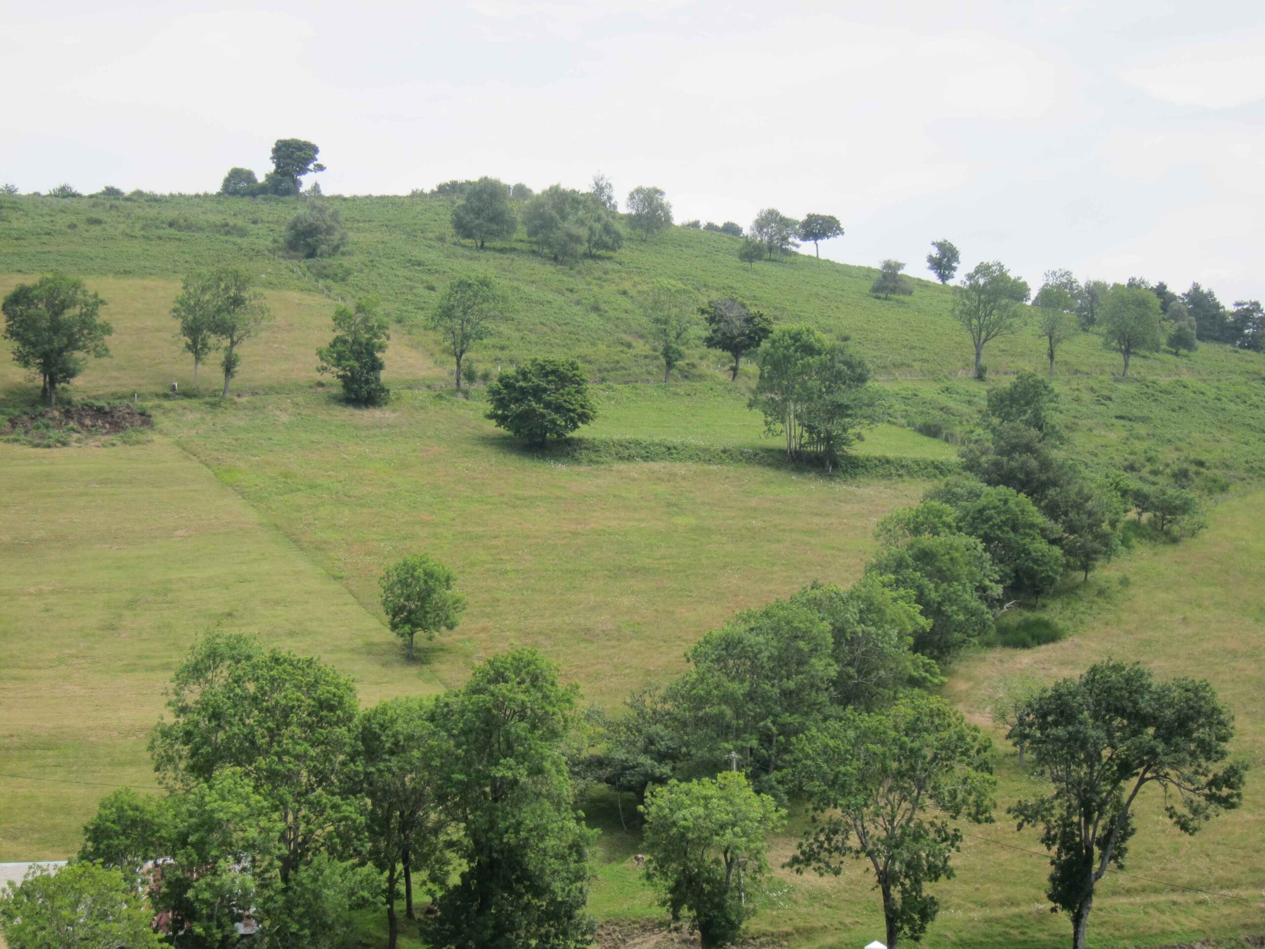 2011-Pyrenäen-Tag6 (37)