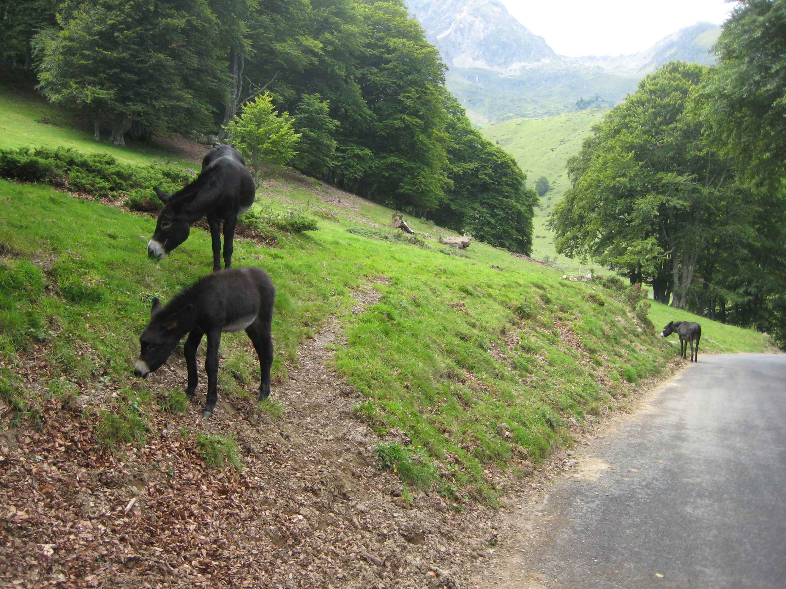 2011-Pyrenäen-Tag6 (5)