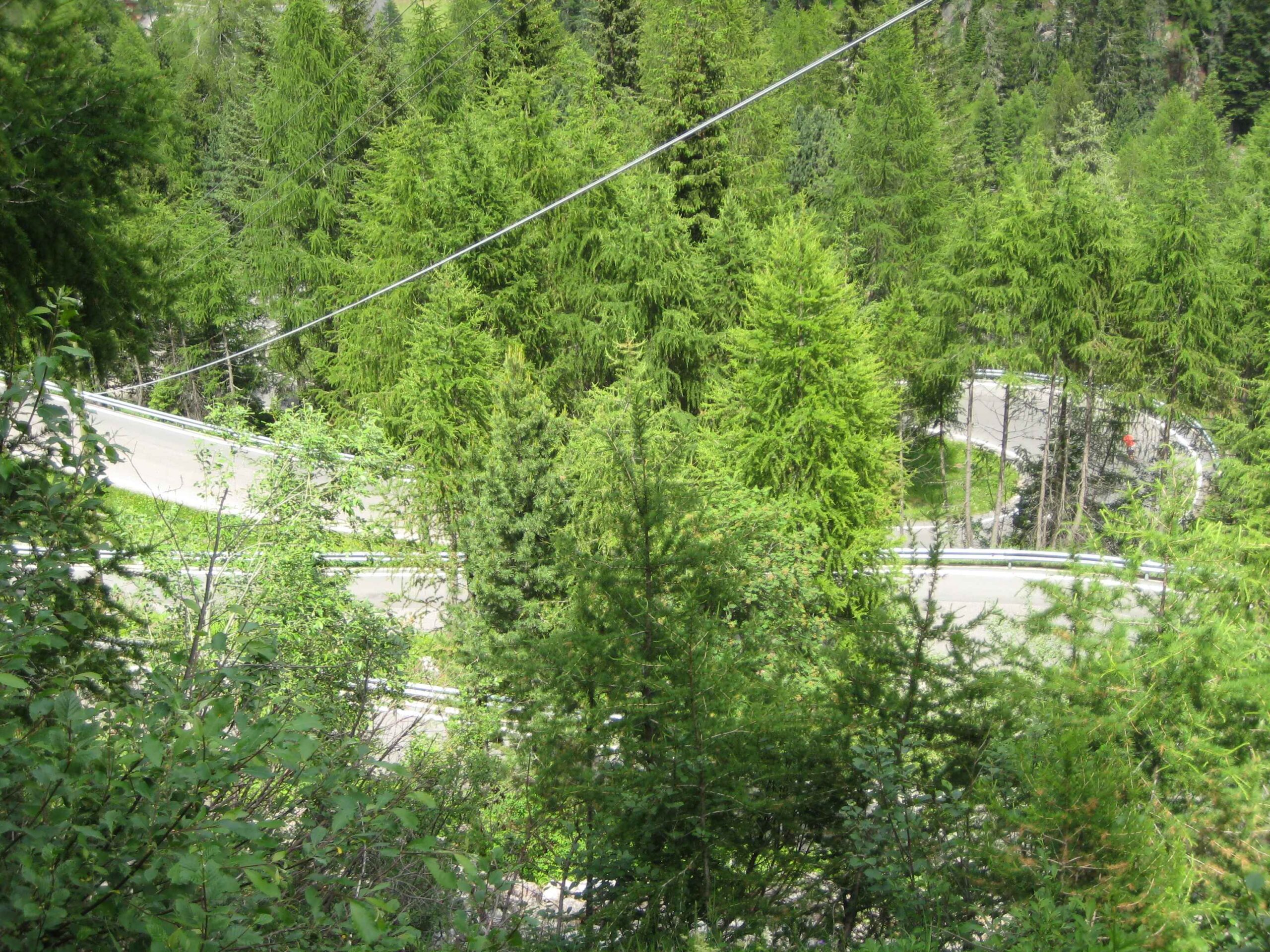 2013-Meran-Tag1 (15)