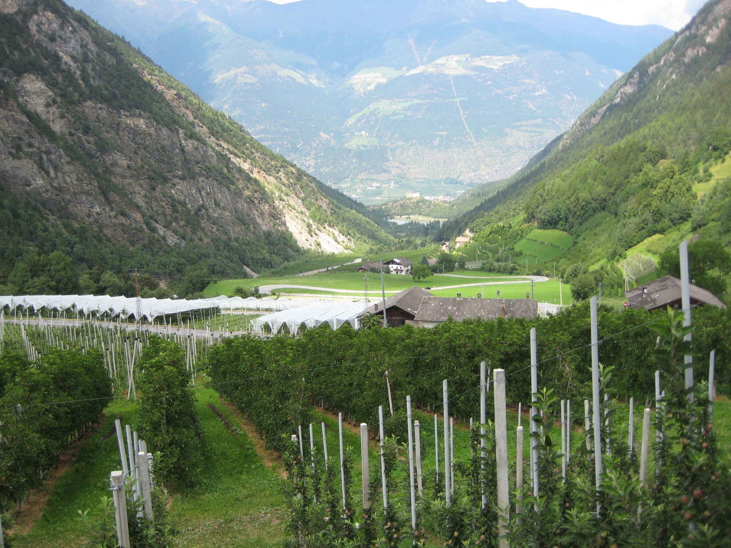 2013-Meran-Tag1 (17)