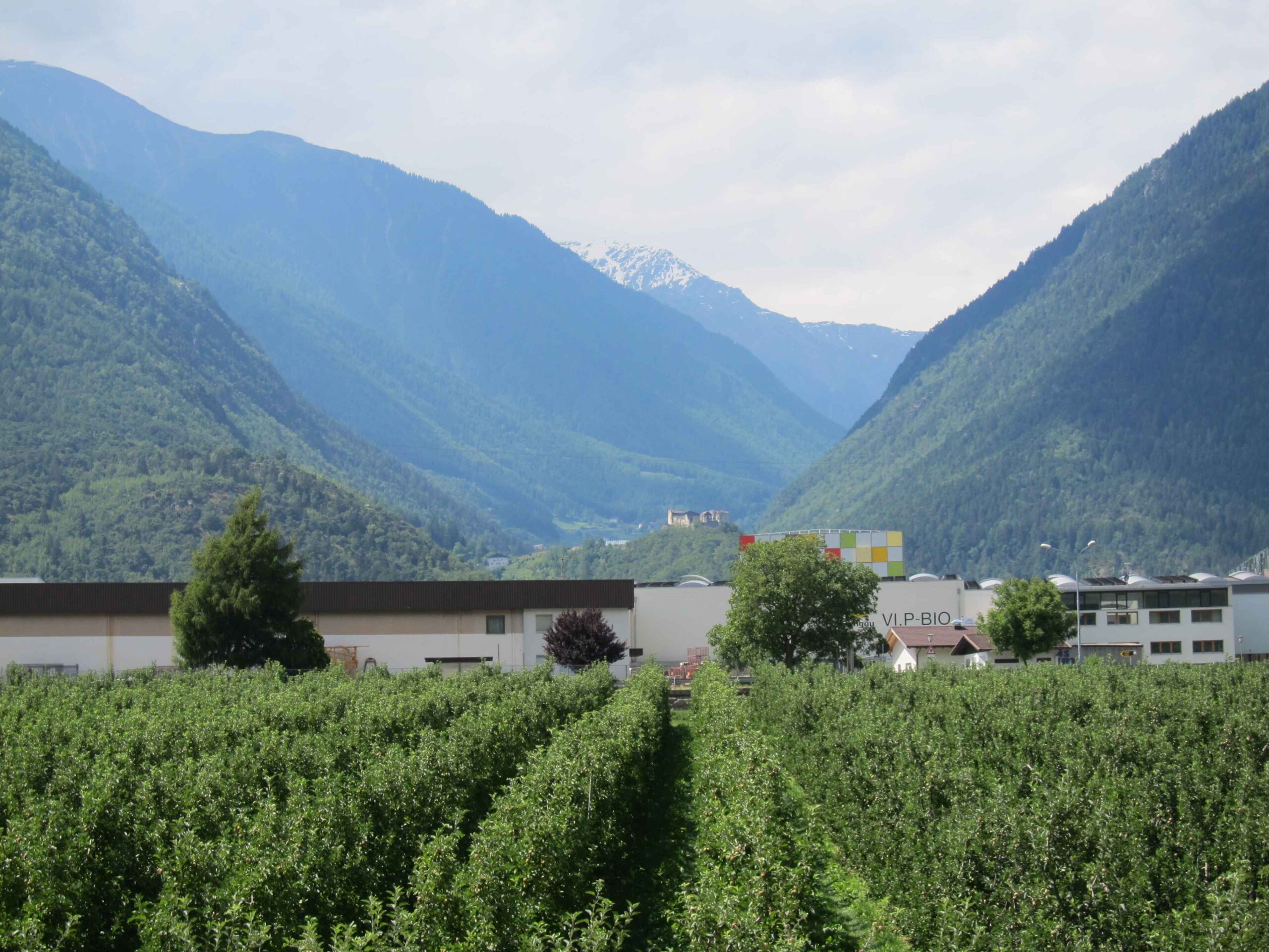 2013-Meran-Tag1 (27)